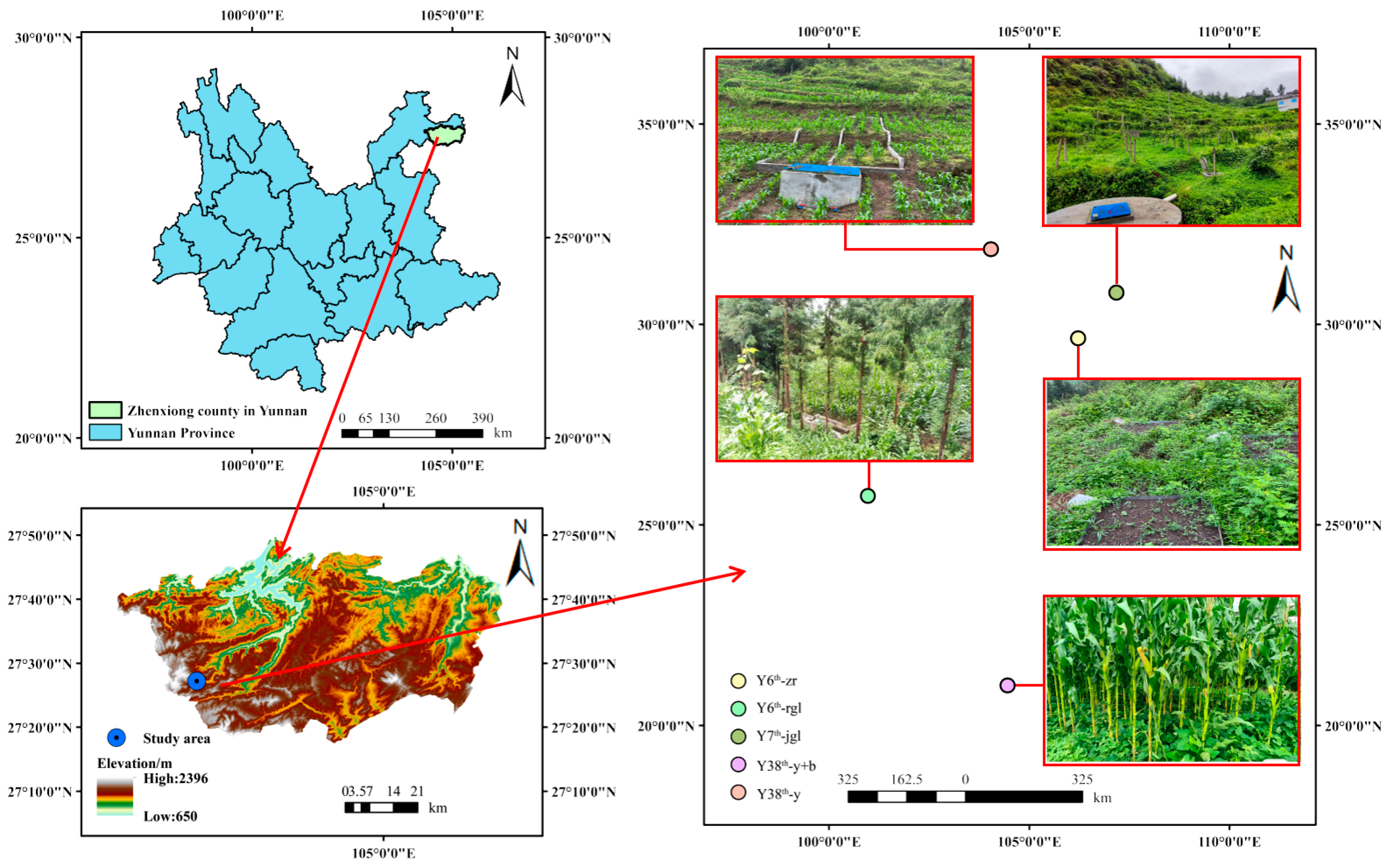 Agronomy 14 01534 g001