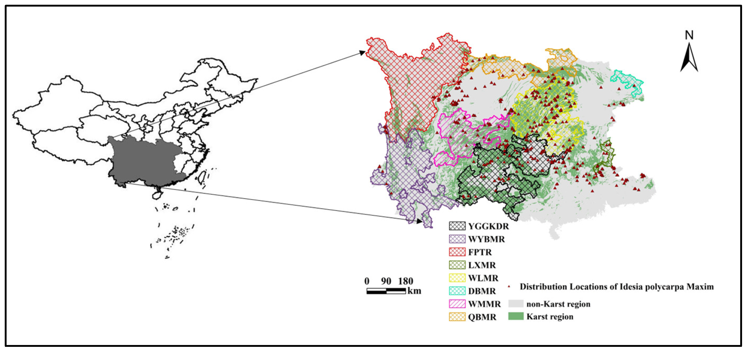 Agronomy 14 01563 g001