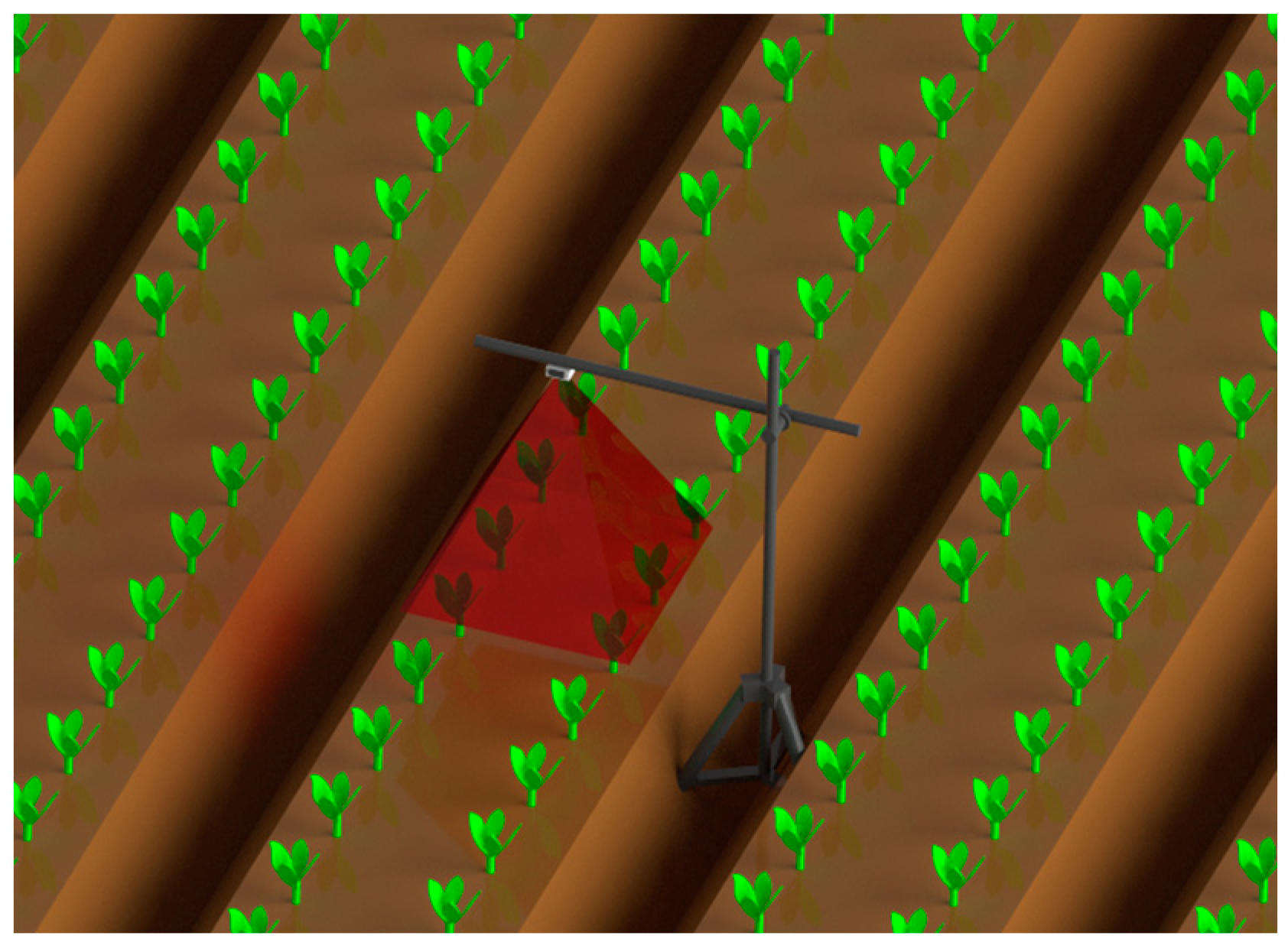 Agronomy 14 01565 g001