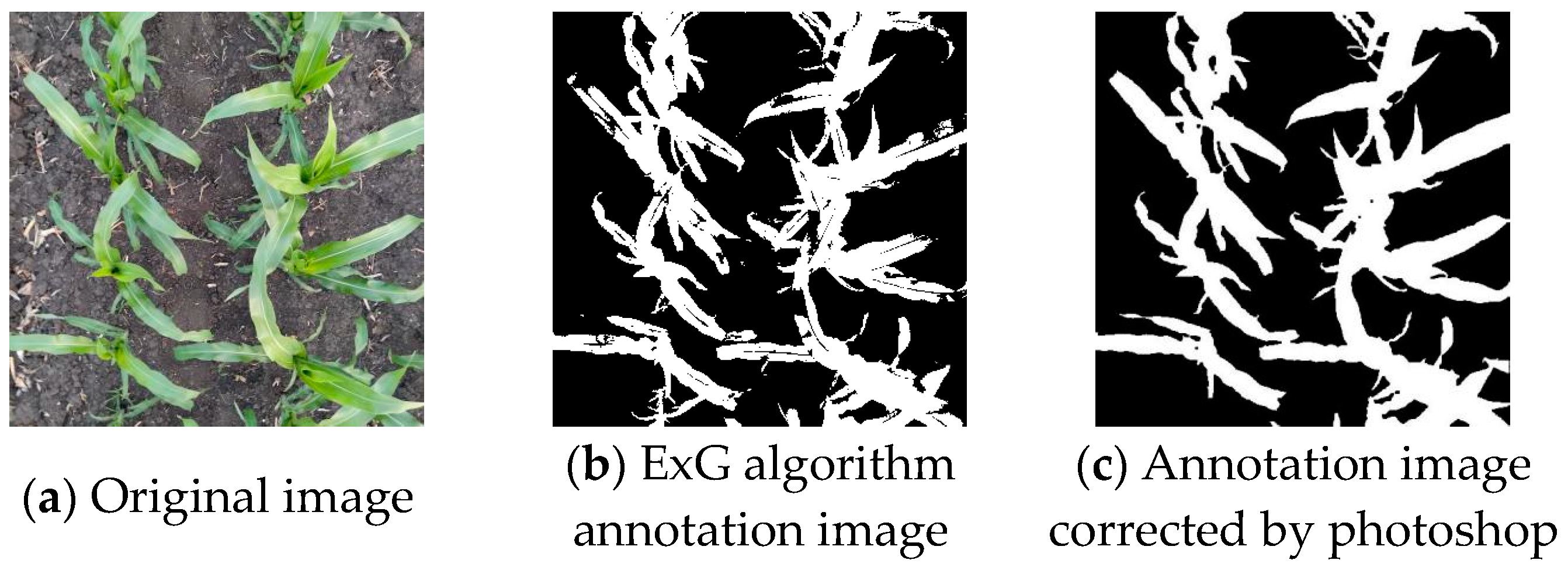 Agronomy 14 01565 g004