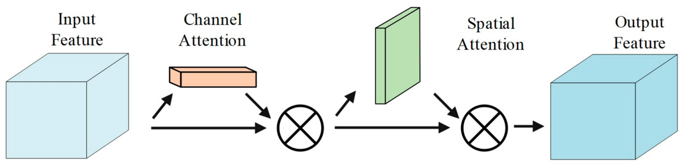 Agronomy 14 01565 g011