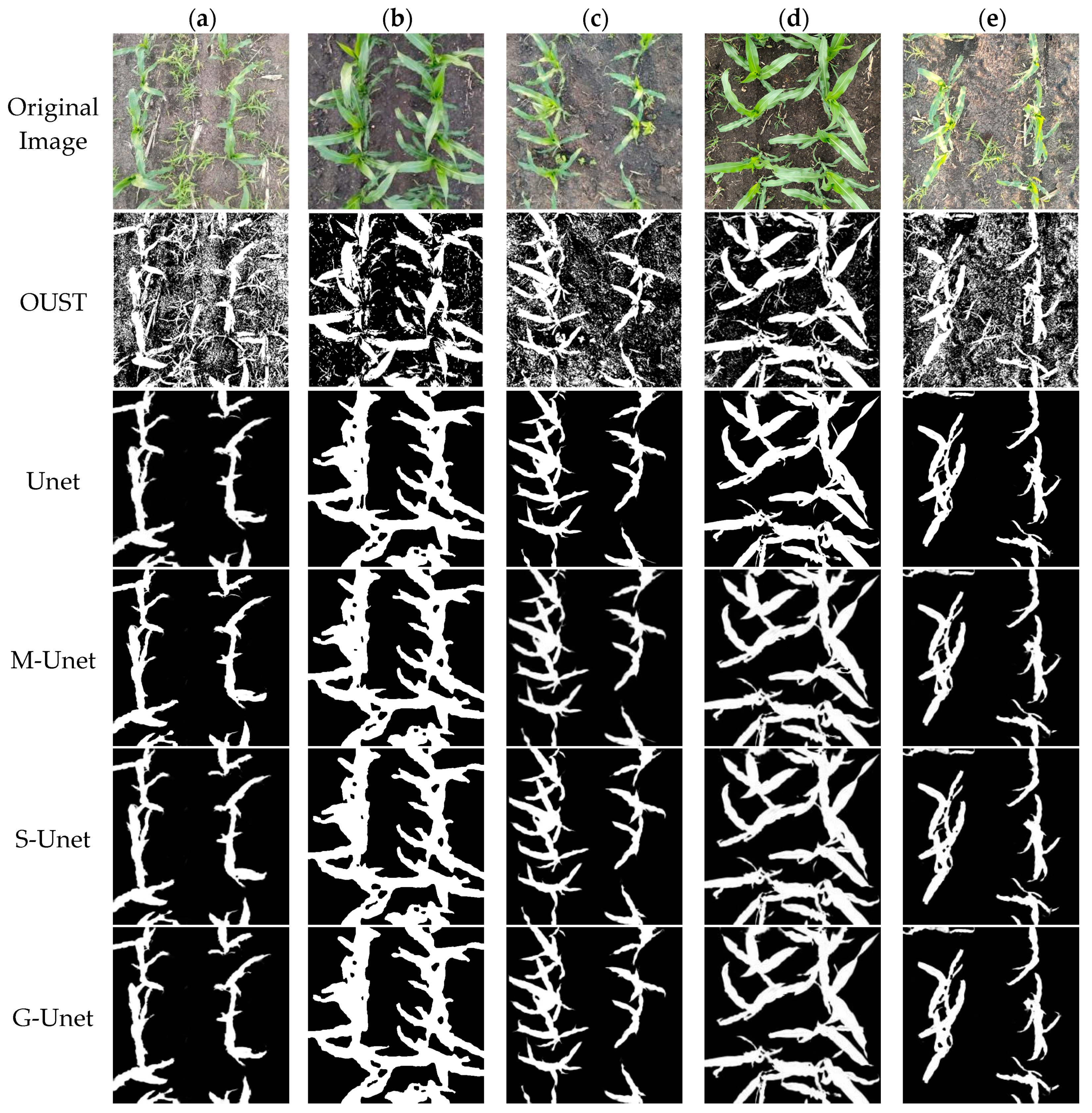 Agronomy 14 01565 g015
