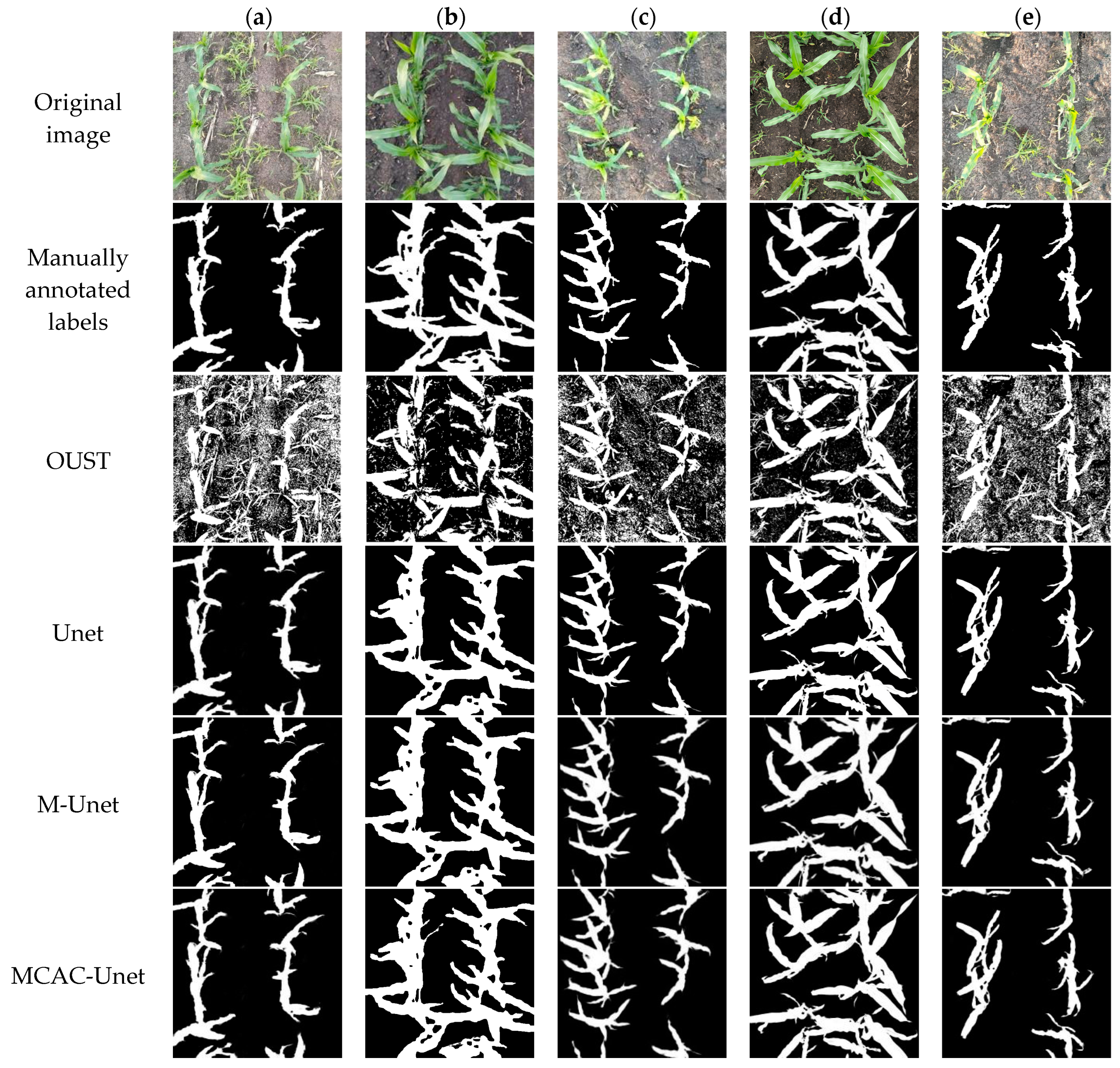 Agronomy 14 01565 g017