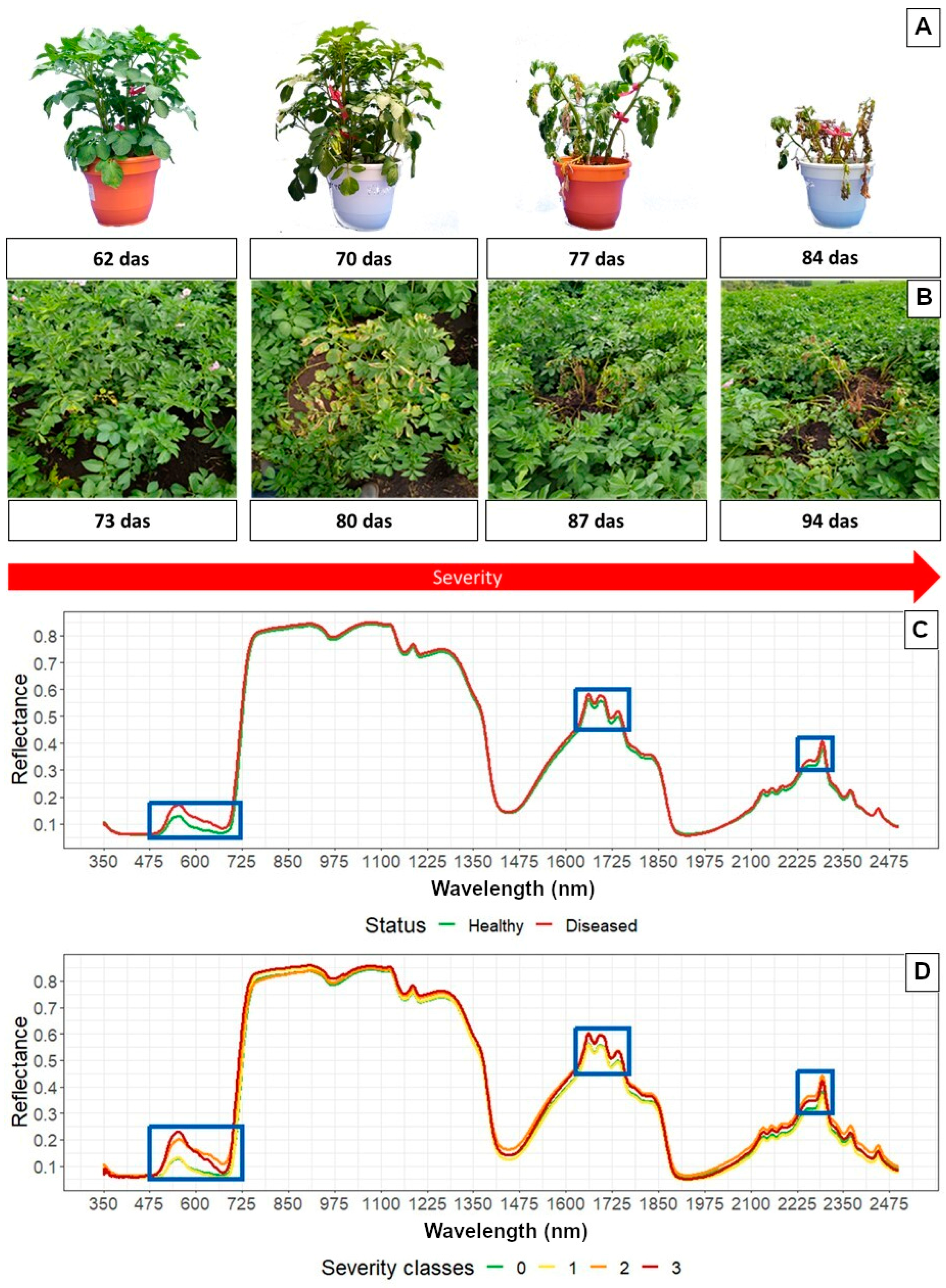 Agronomy 14 01569 g002