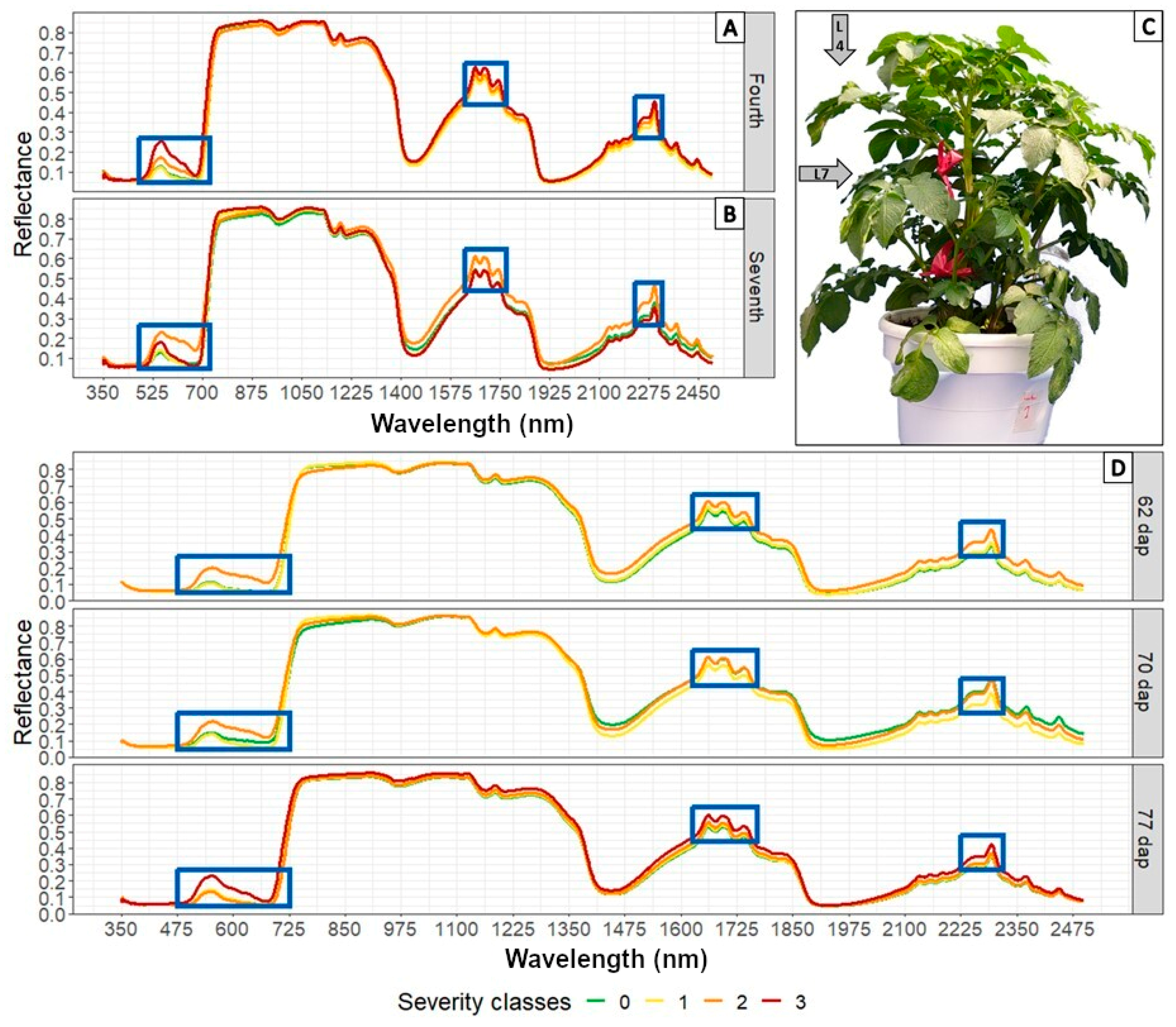 Agronomy 14 01569 g003
