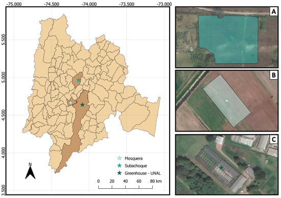 Agronomy 14 01569 g0a1