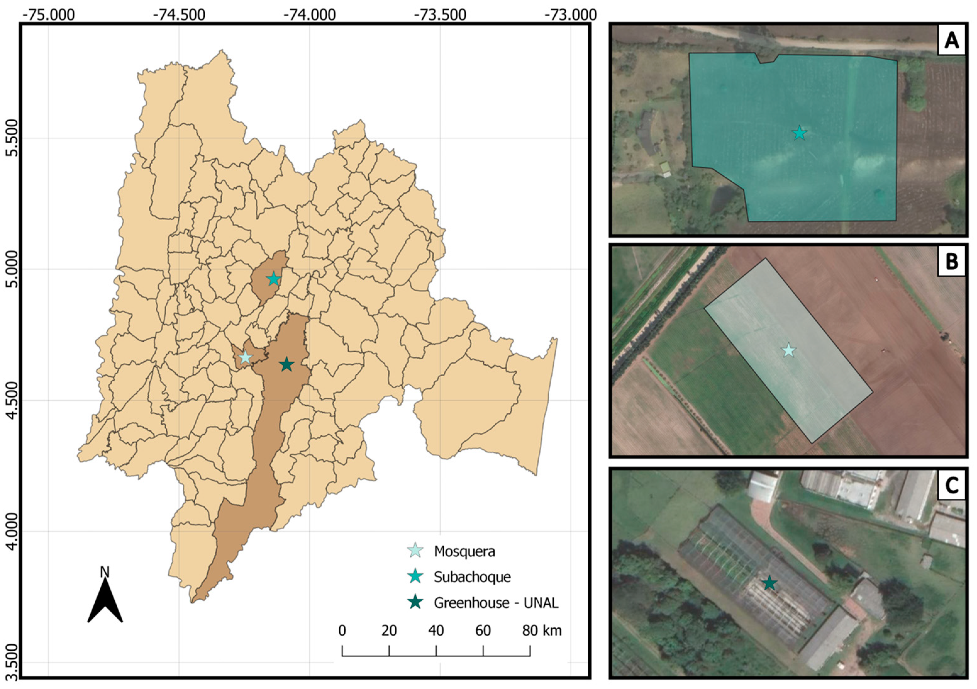 Agronomy 14 01569 g0a1