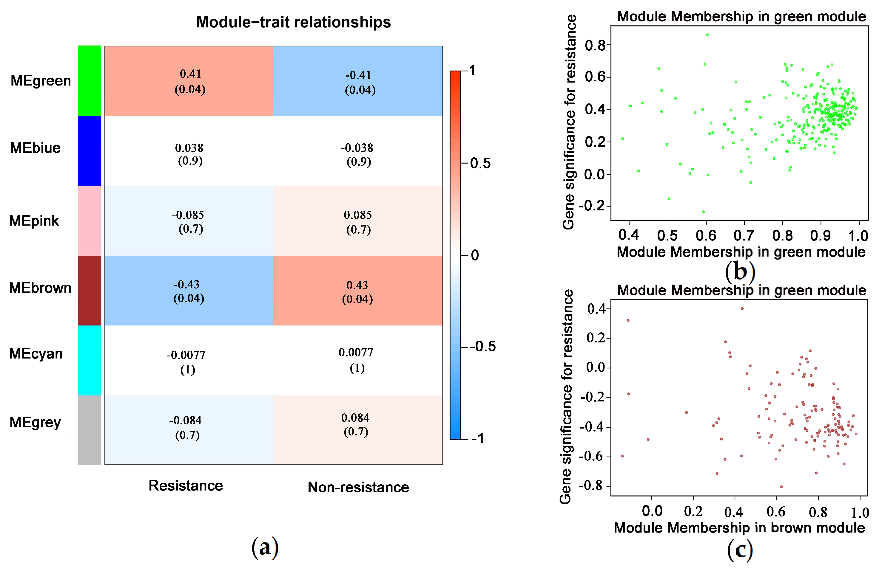 Agronomy 14 01572 g006