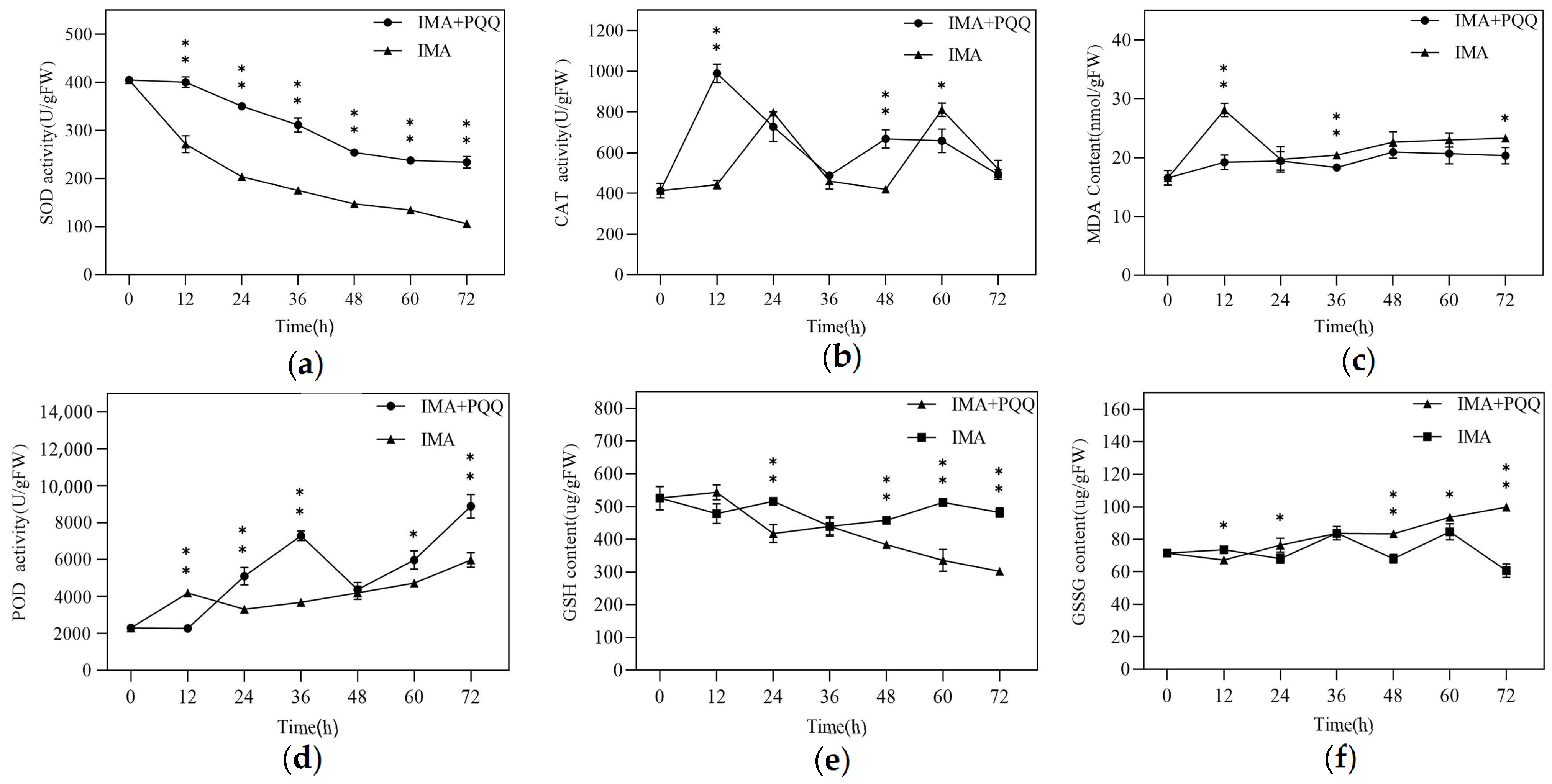 Agronomy 14 01572 g008