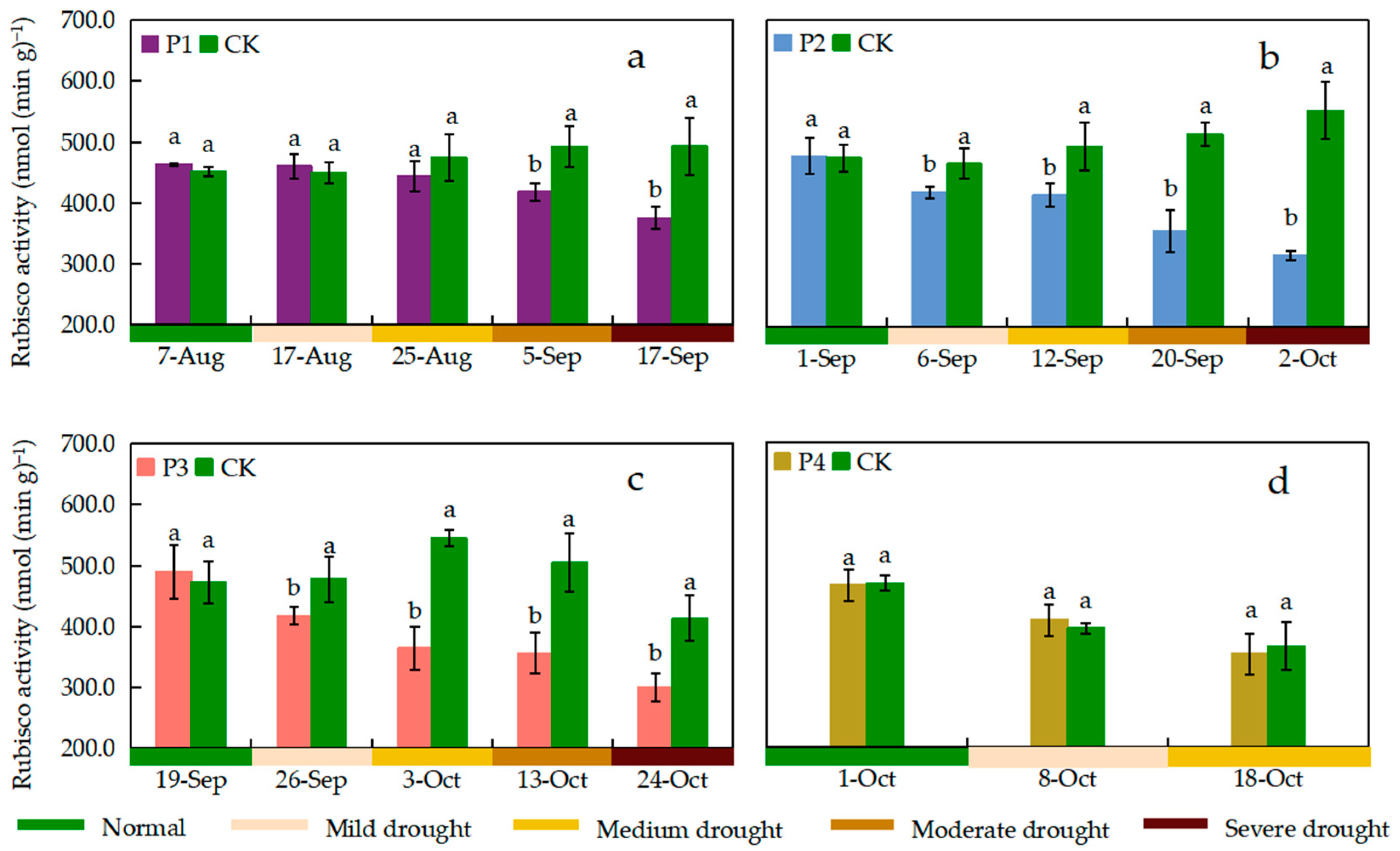 Agronomy 14 01579 g007
