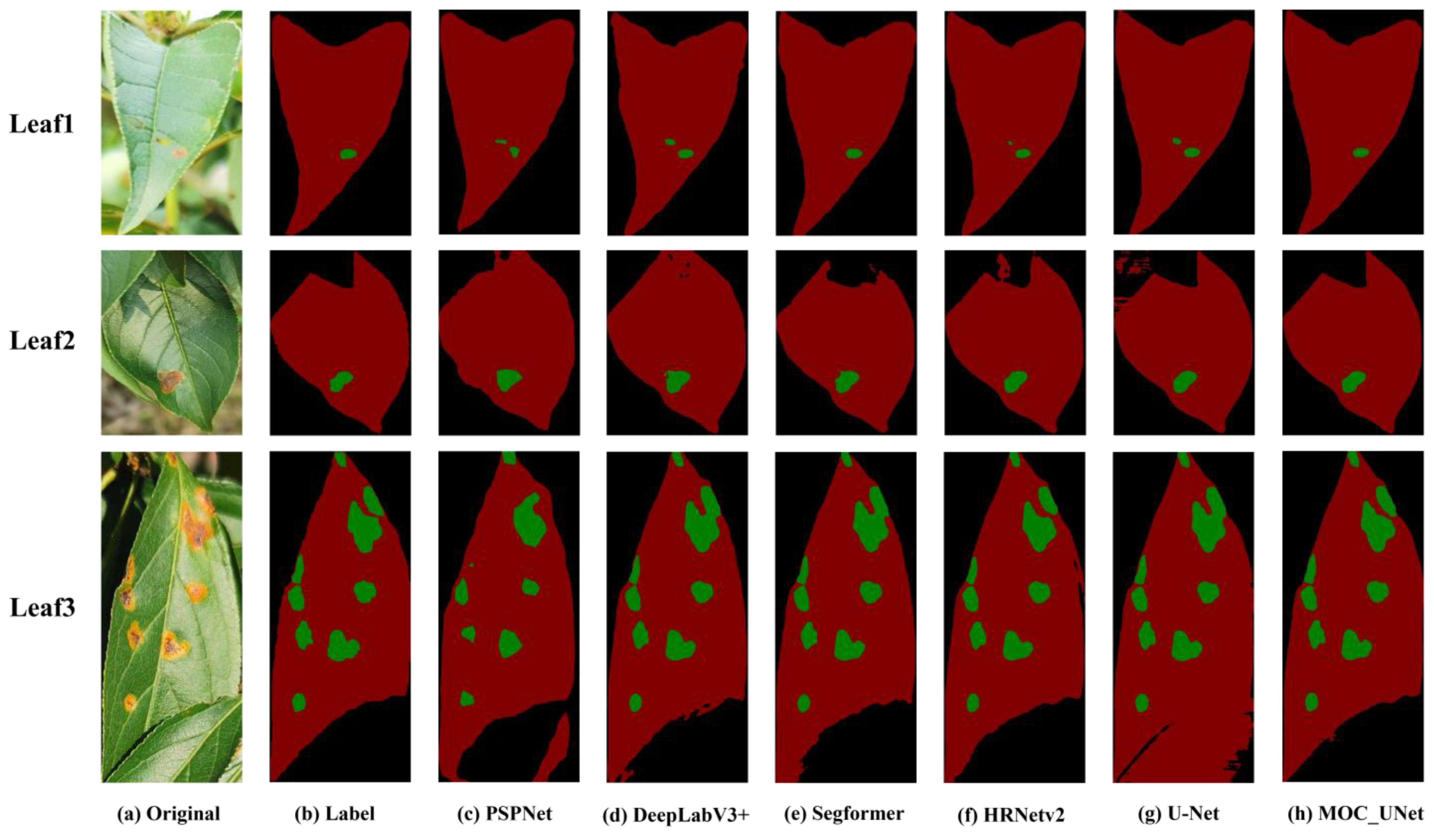 Agronomy 14 01589 g011