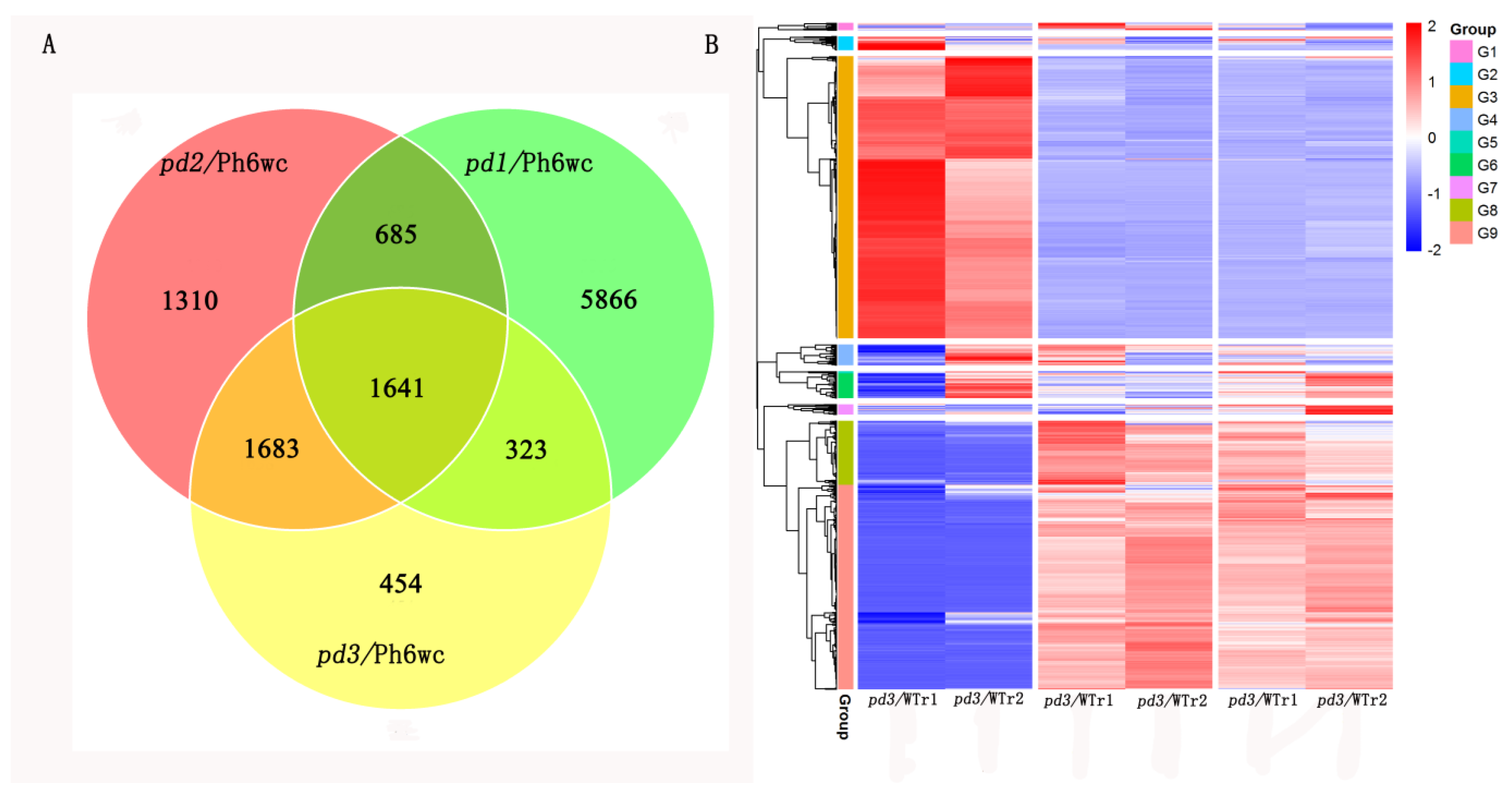 Agronomy 14 01598 g003