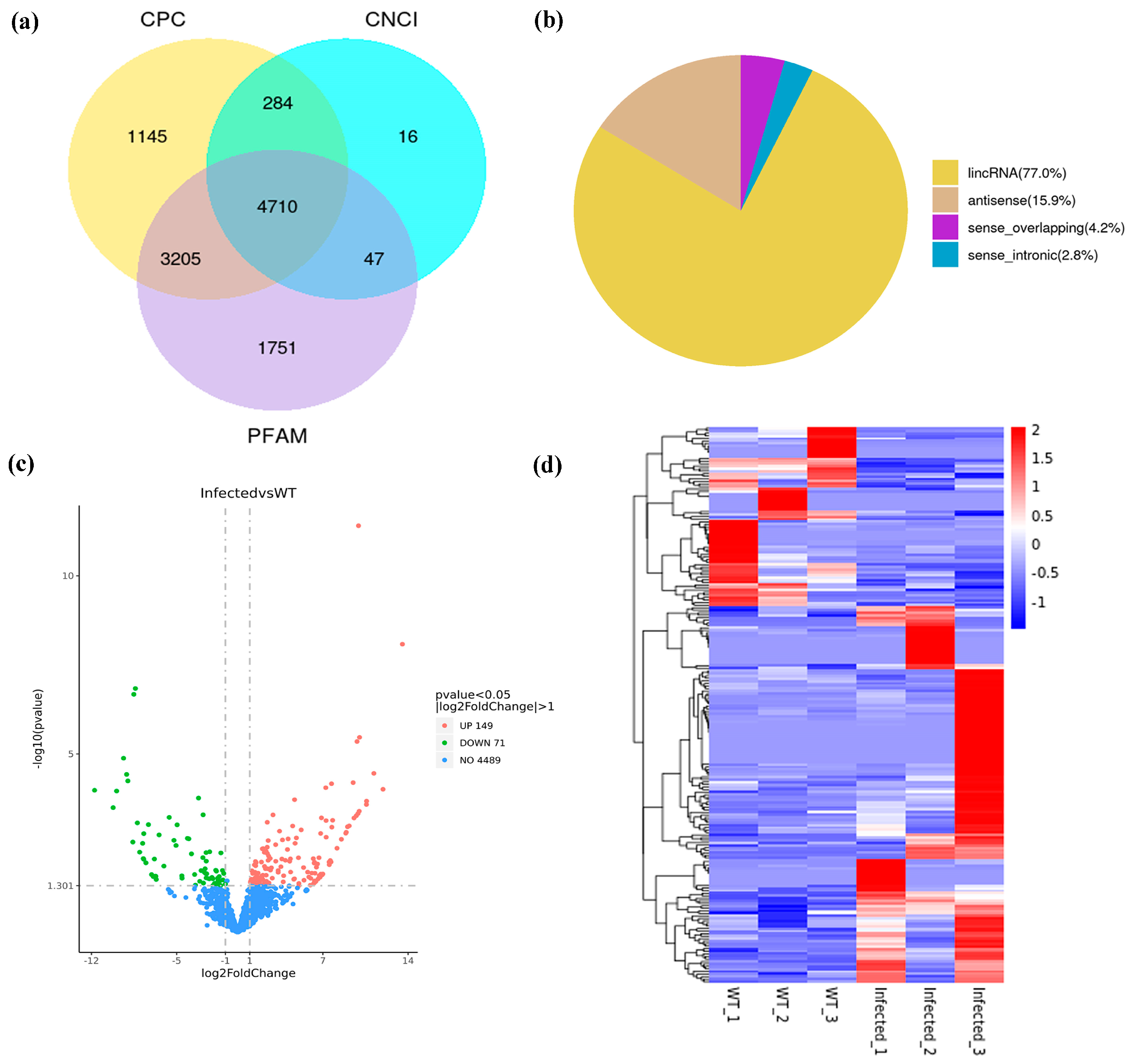 Agronomy 14 01603 g002