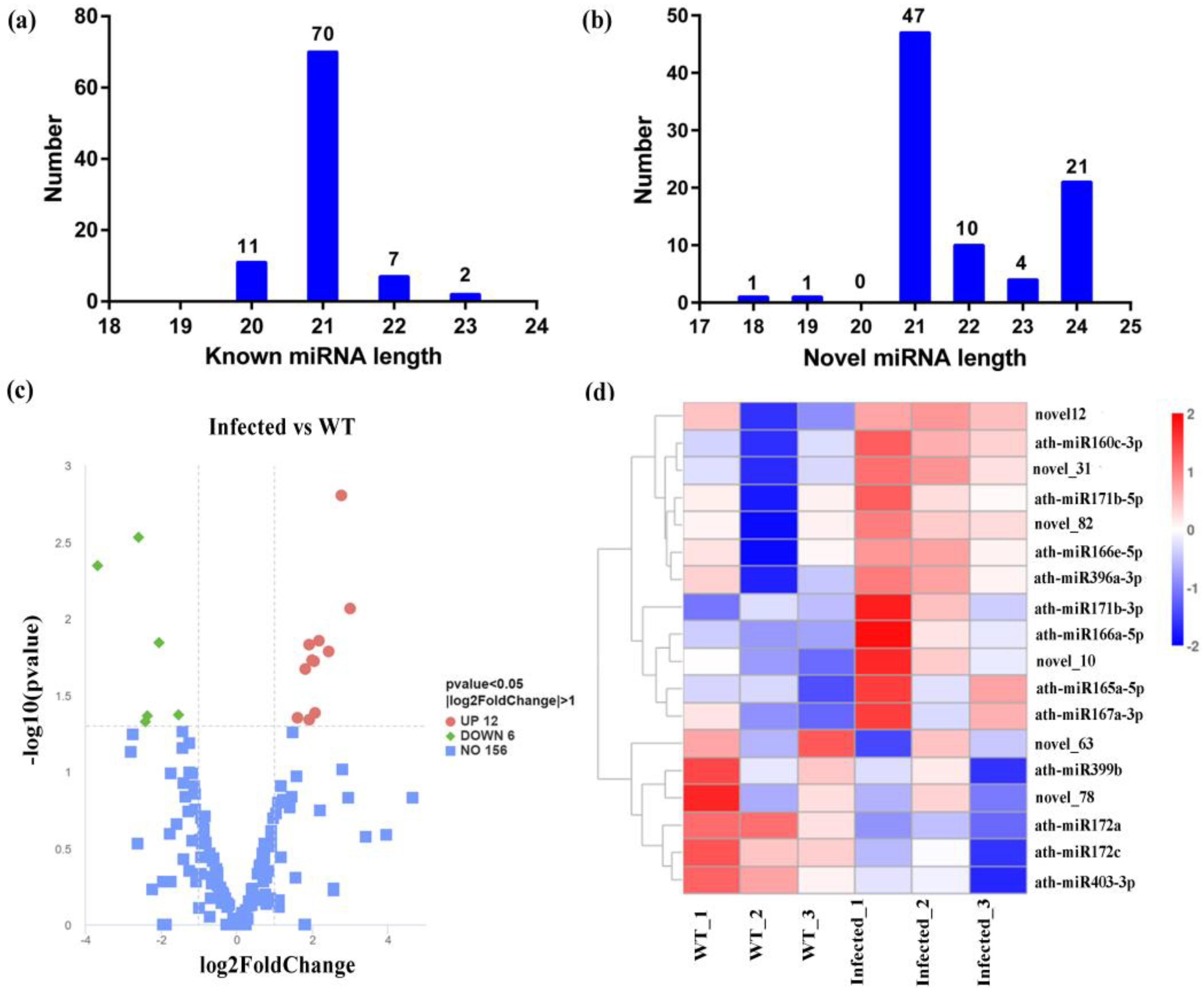 Agronomy 14 01603 g004