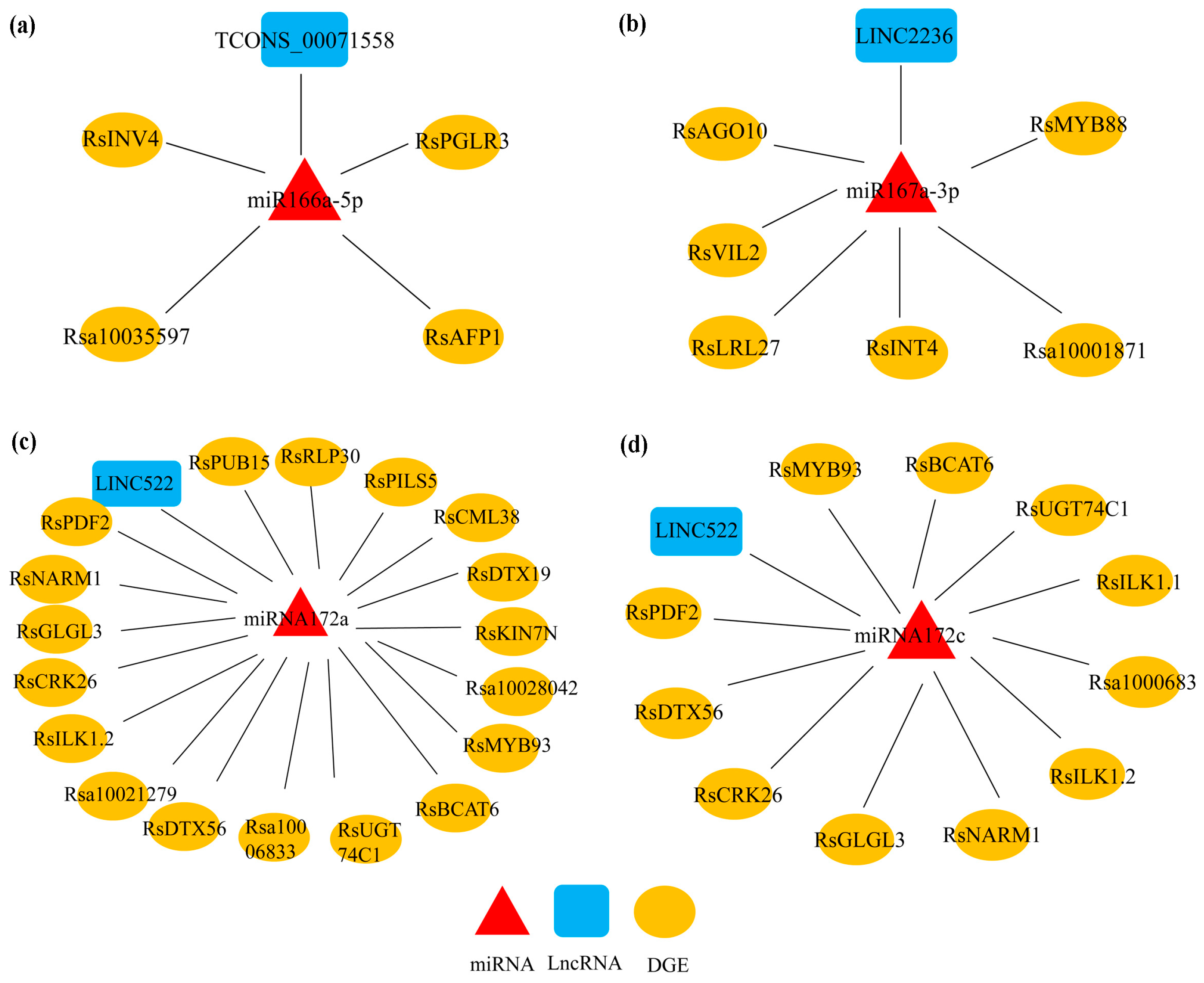 Agronomy 14 01603 g005