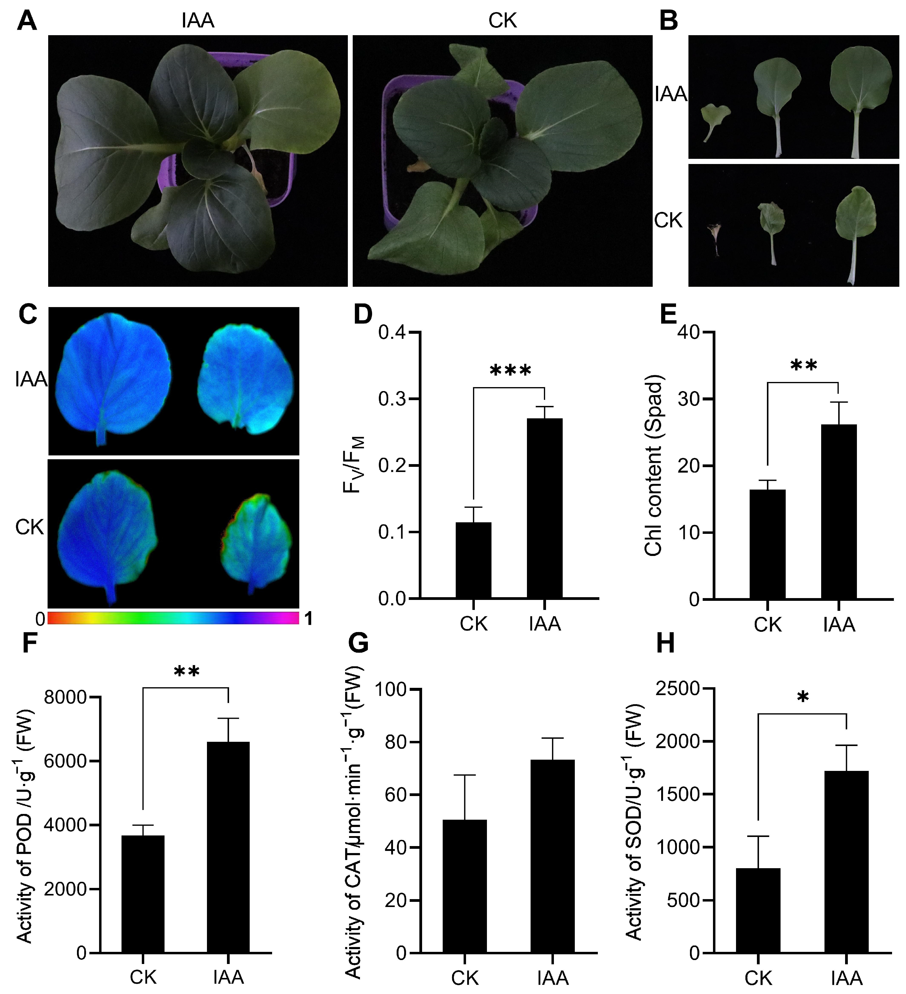Agronomy 14 01604 g005