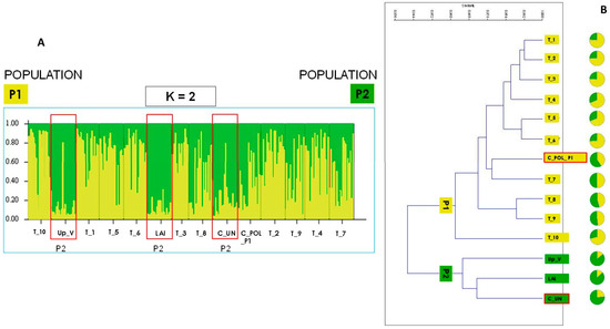 Agronomy 14 01605 g001