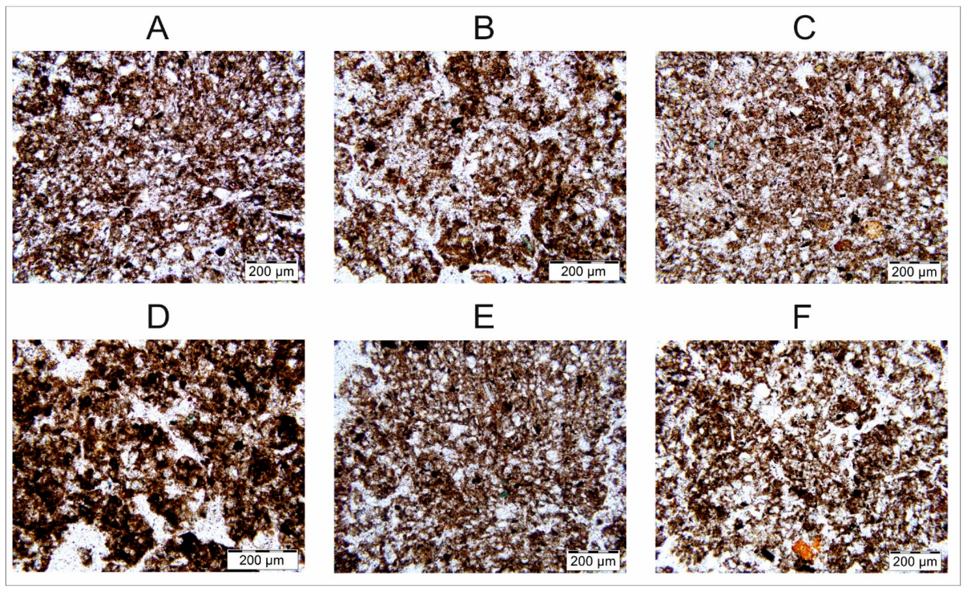 Agronomy 14 01607 g003