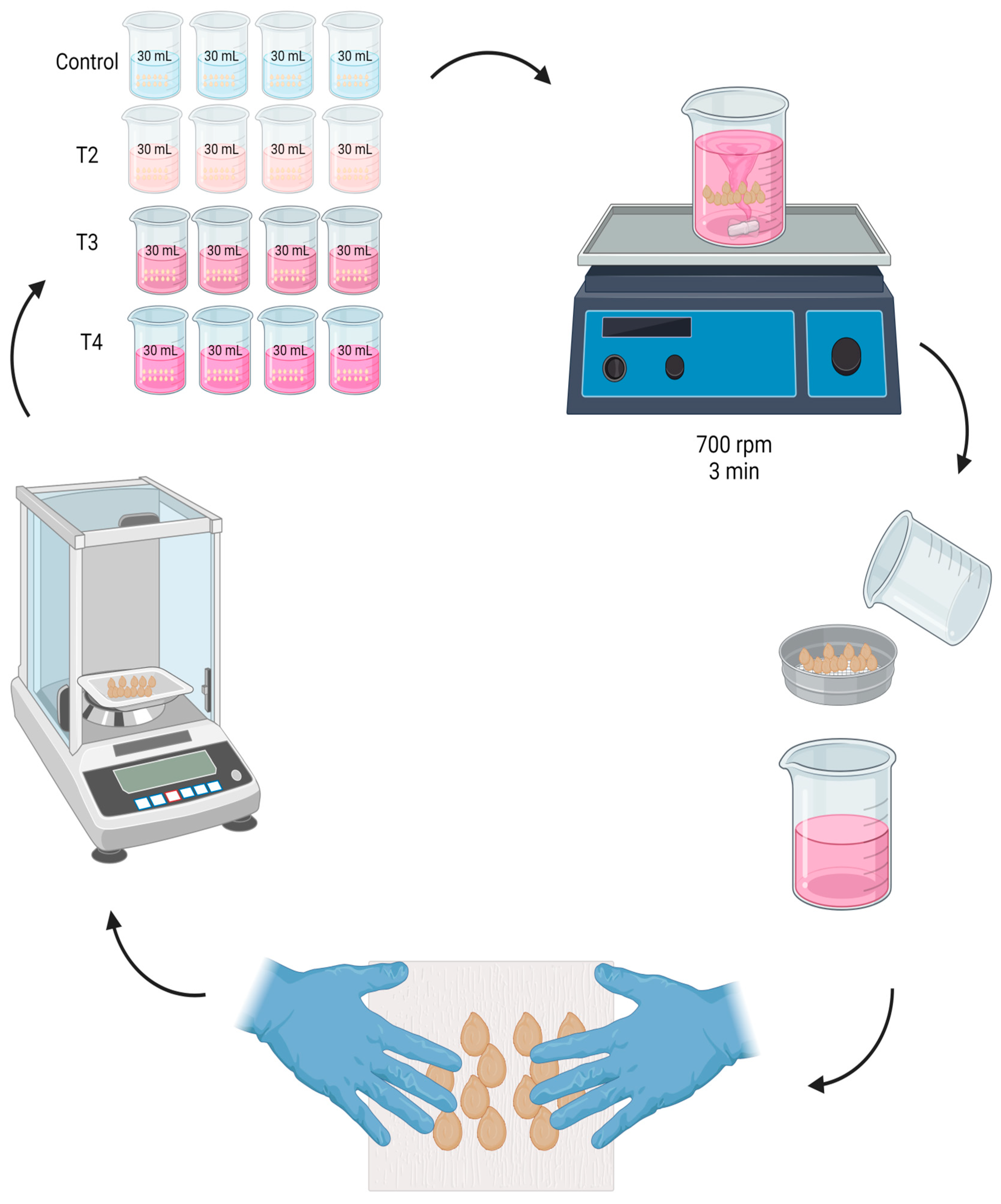 Agronomy 14 01609 g001