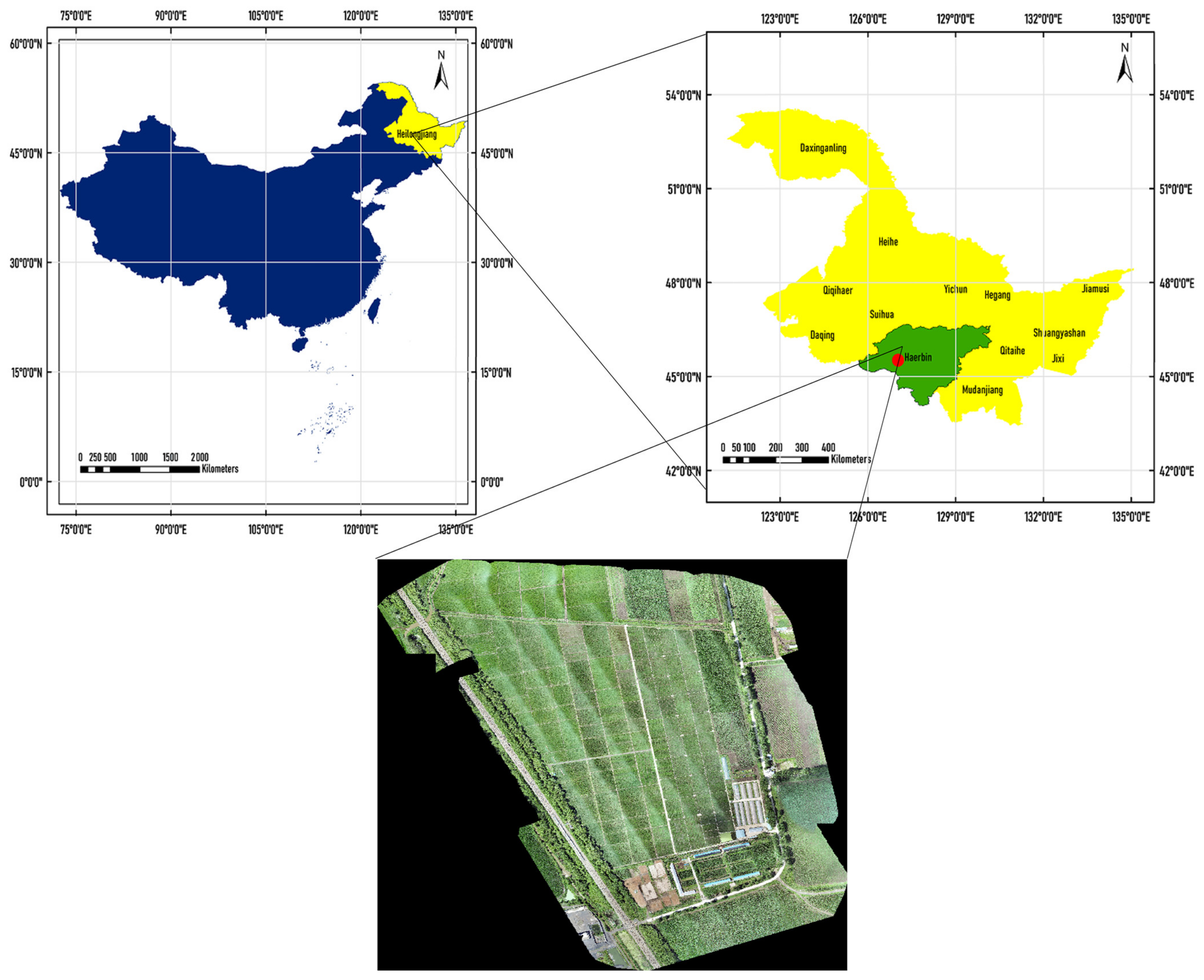 Agronomy 14 01618 g001