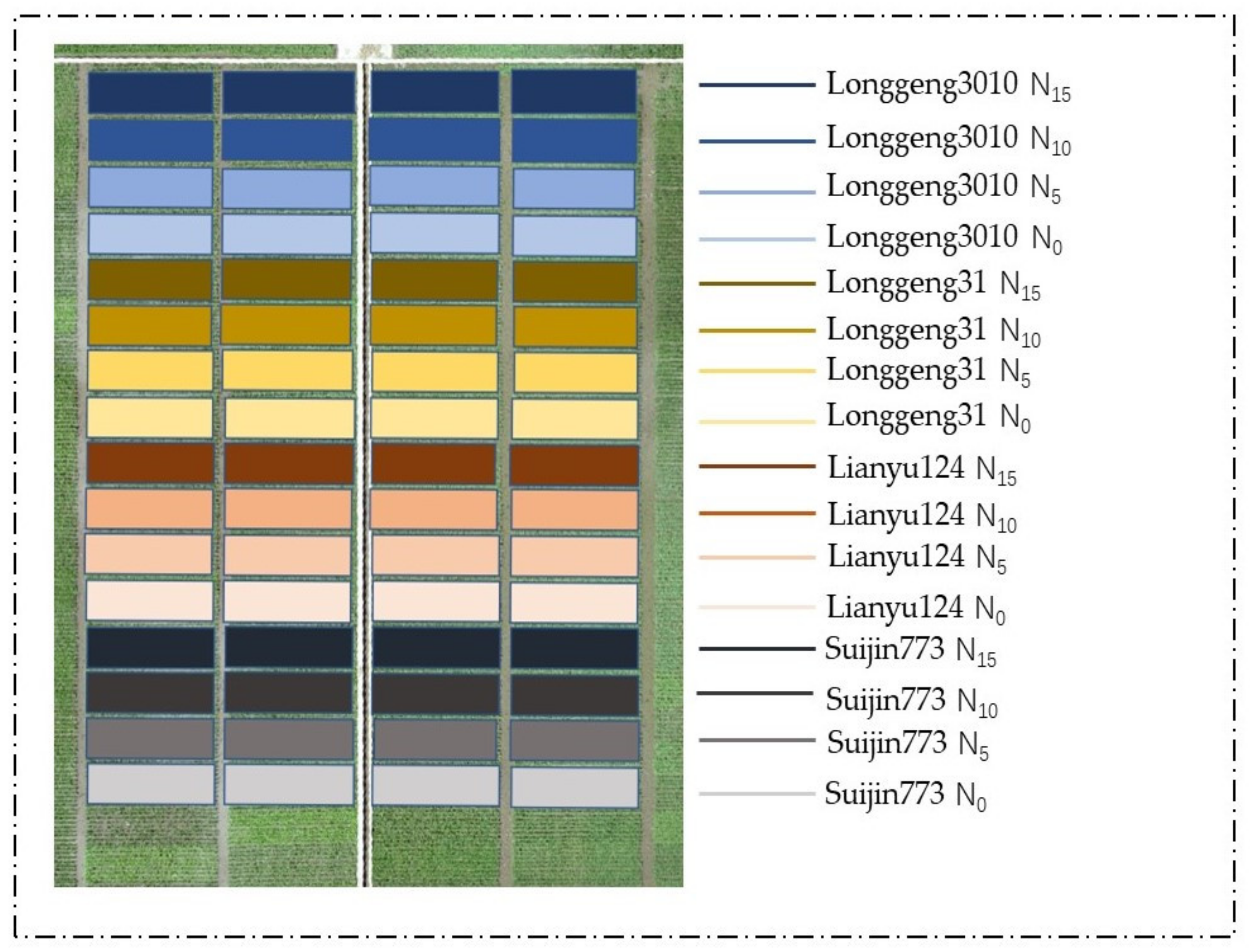 Agronomy 14 01618 g002