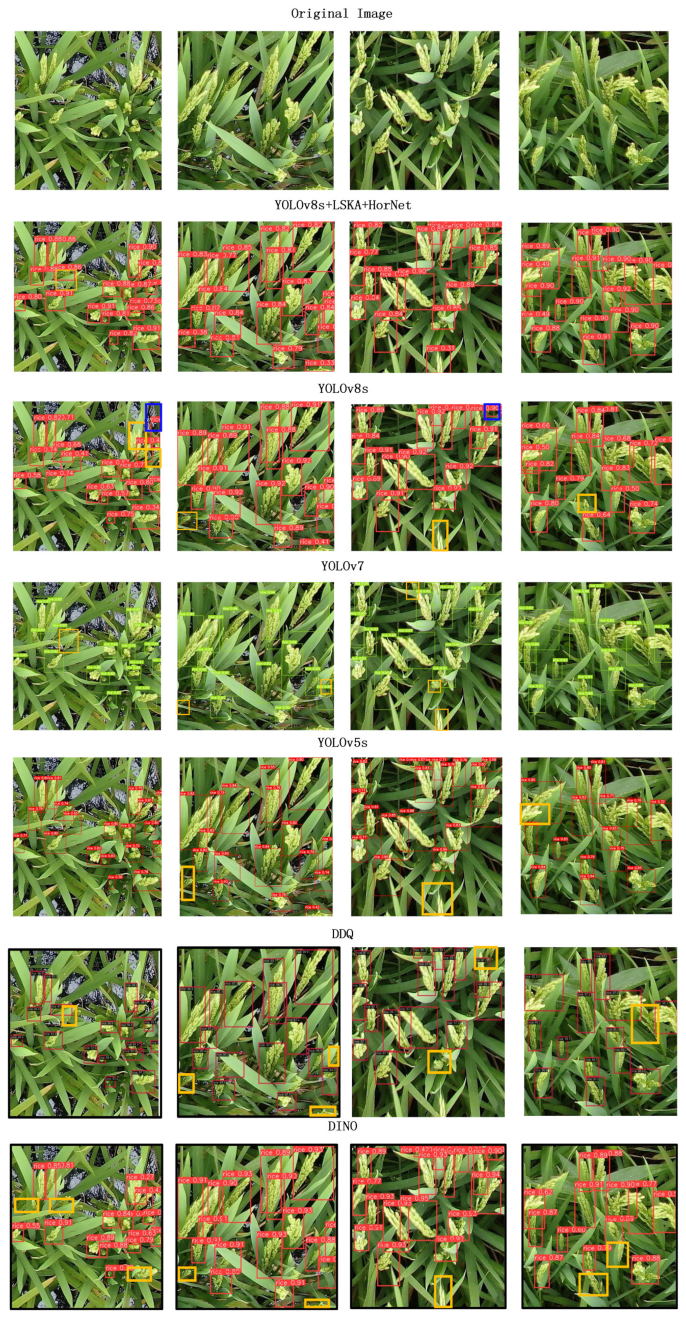 Agronomy 14 01618 g011