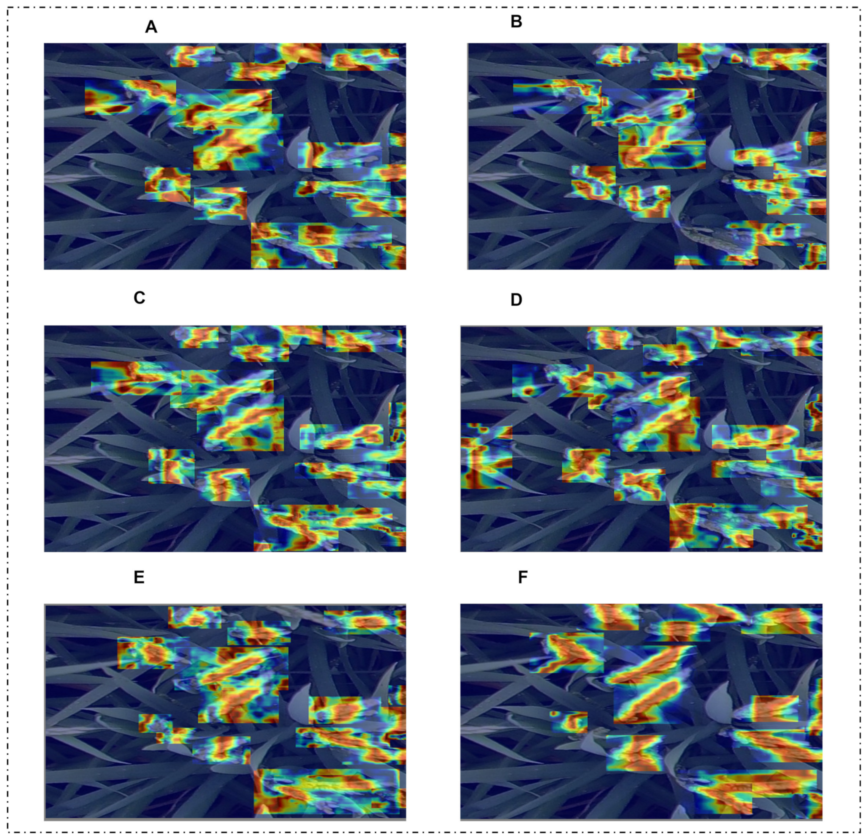 Agronomy 14 01618 g012