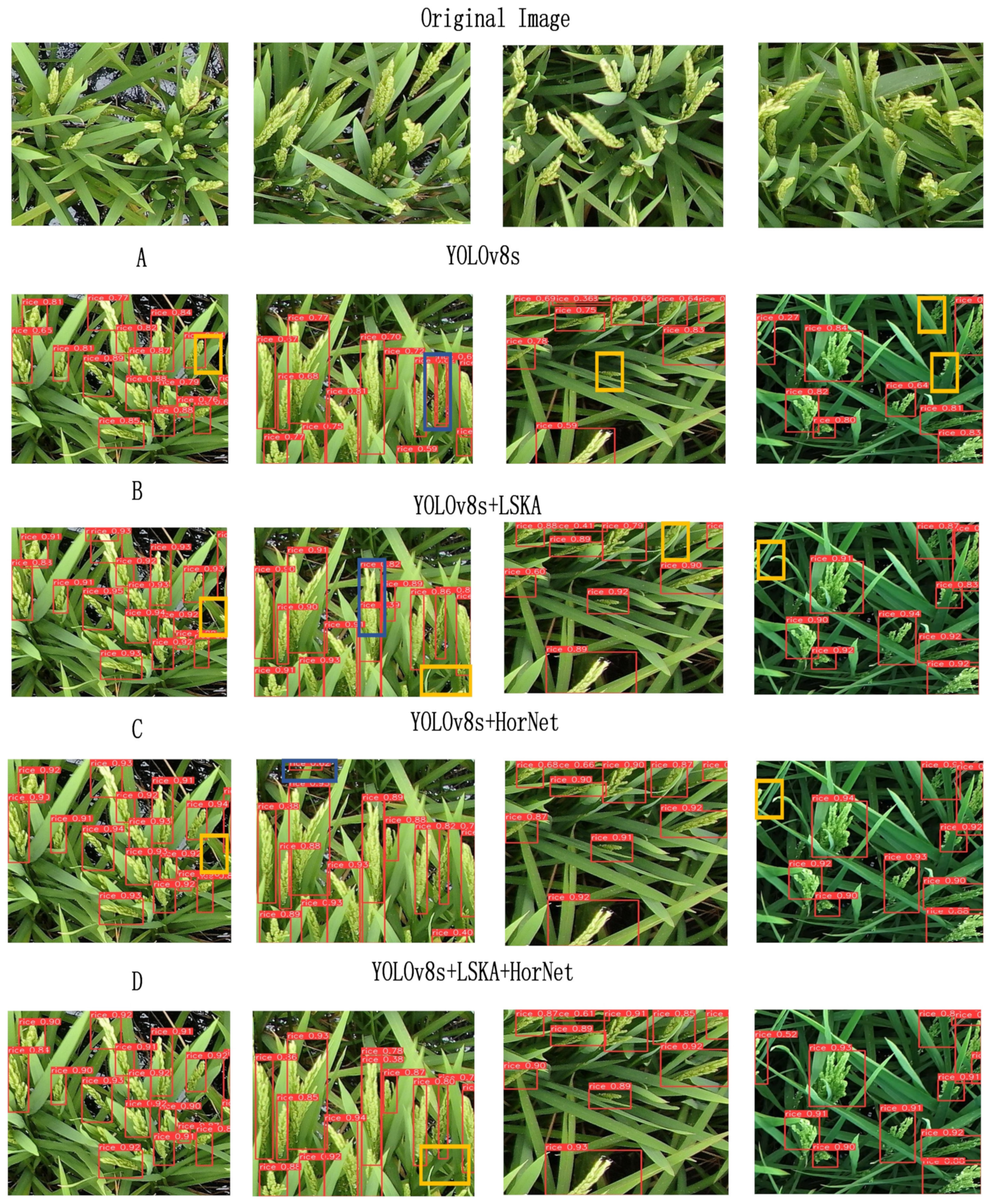 Agronomy 14 01618 g015