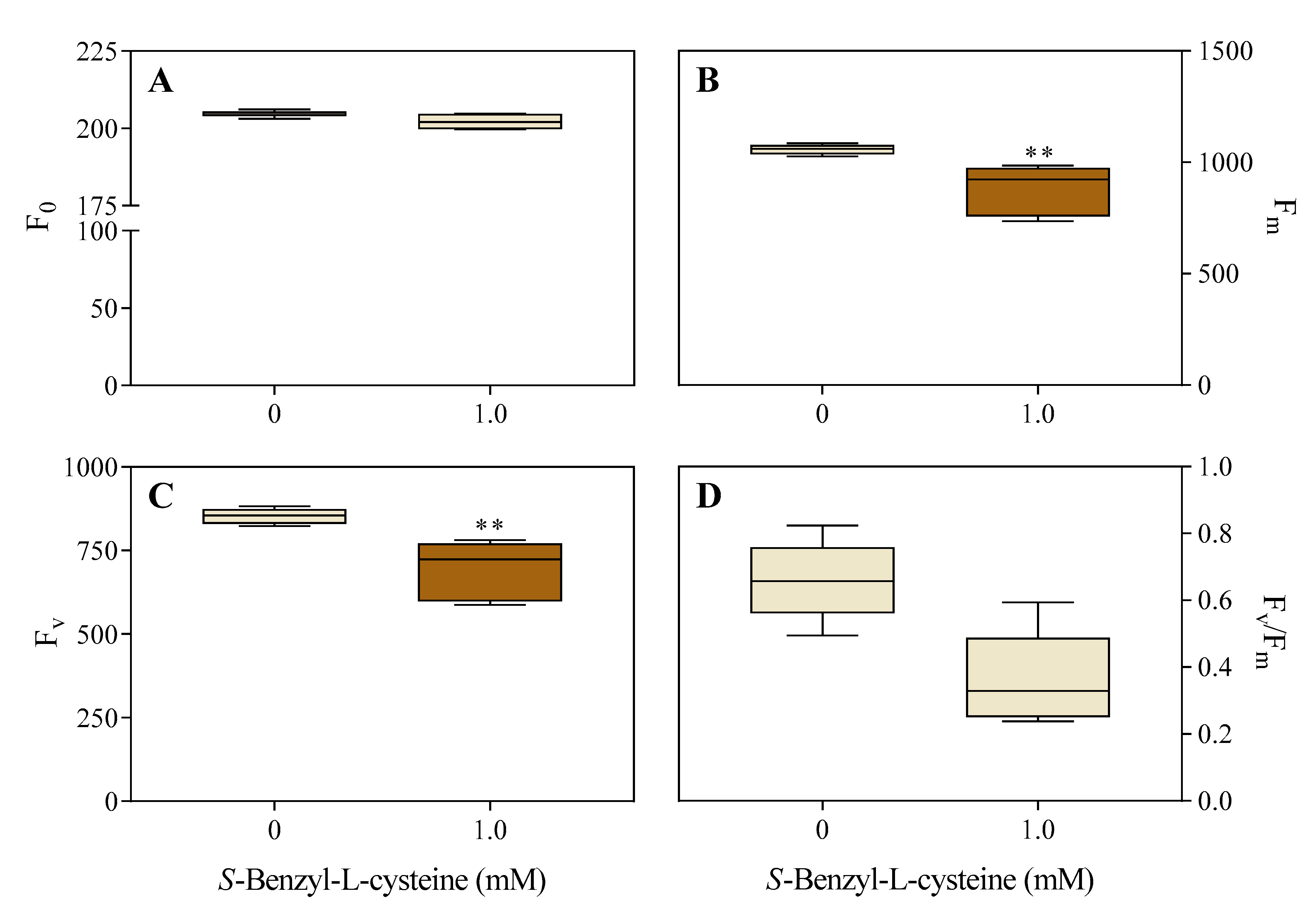 Agronomy 14 01633 g004 Agronomy 14 01633 g004
