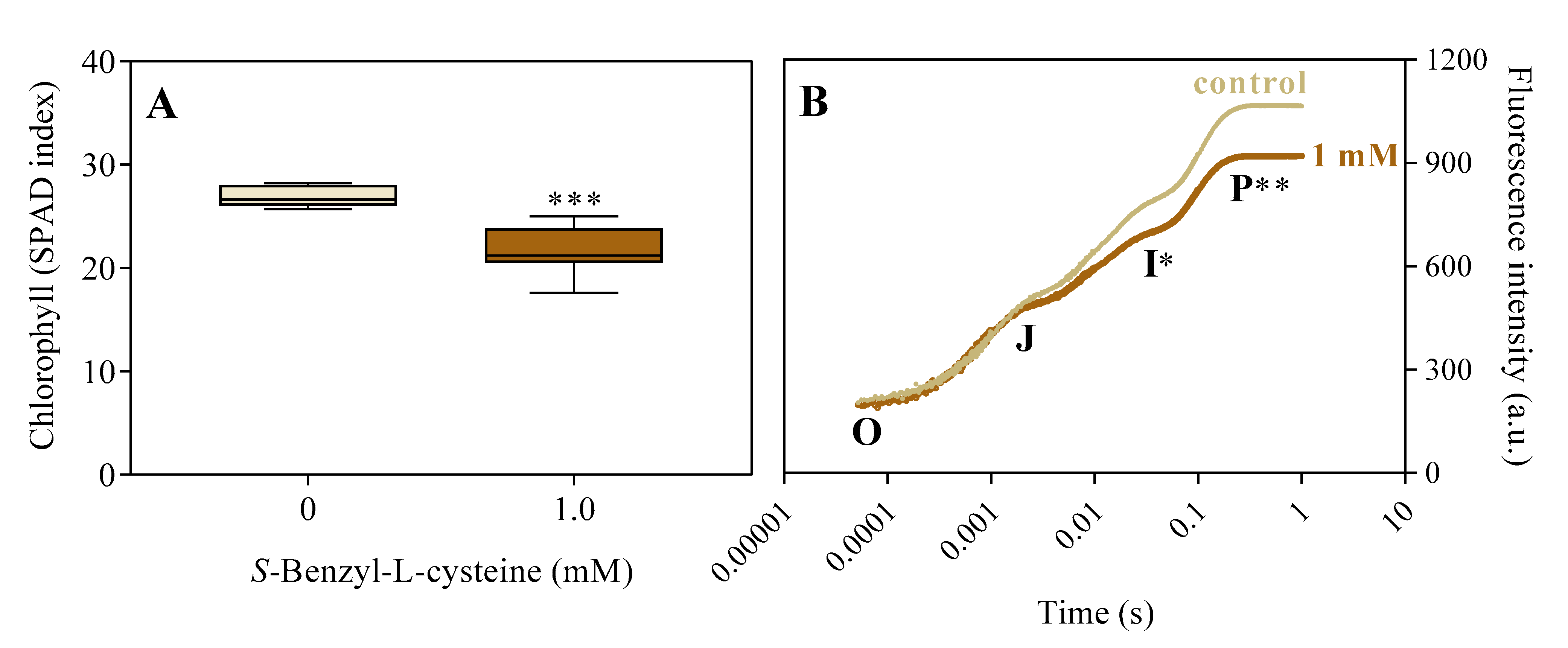 Agronomy 14 01633 g005 Agronomy 14 01633 g005