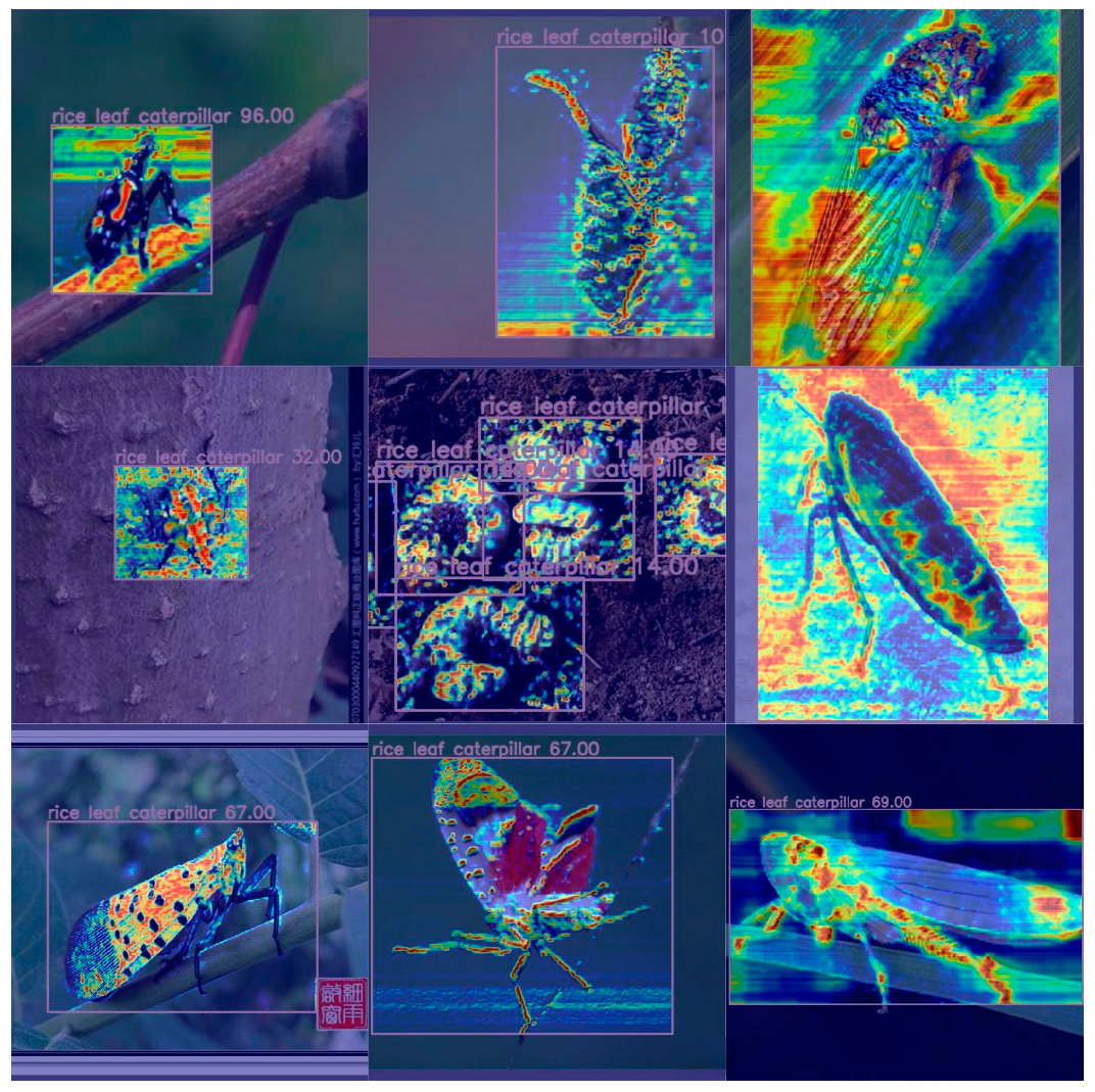 Agronomy 14 01640 g009