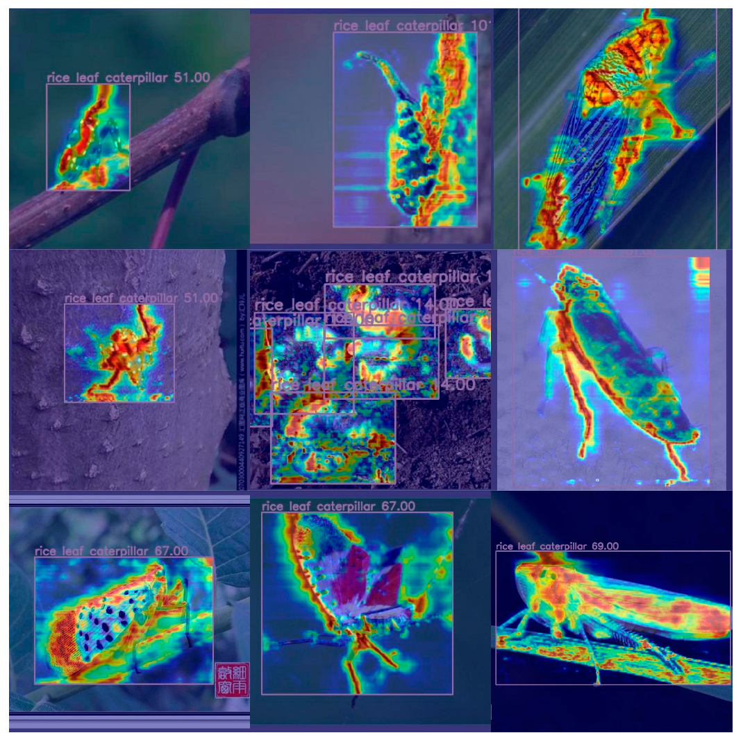 Agronomy 14 01640 g010