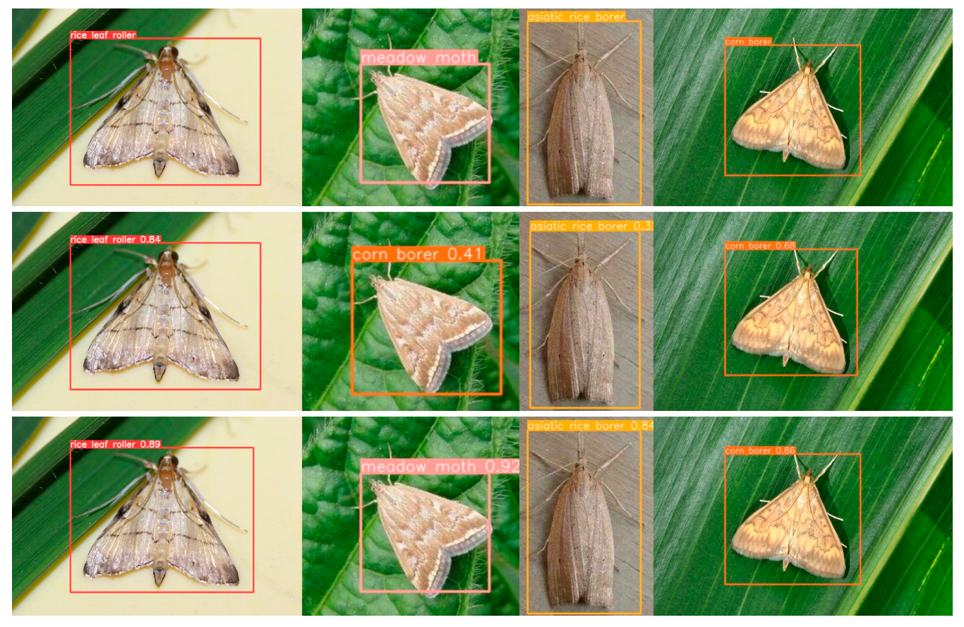 Agronomy 14 01640 g014