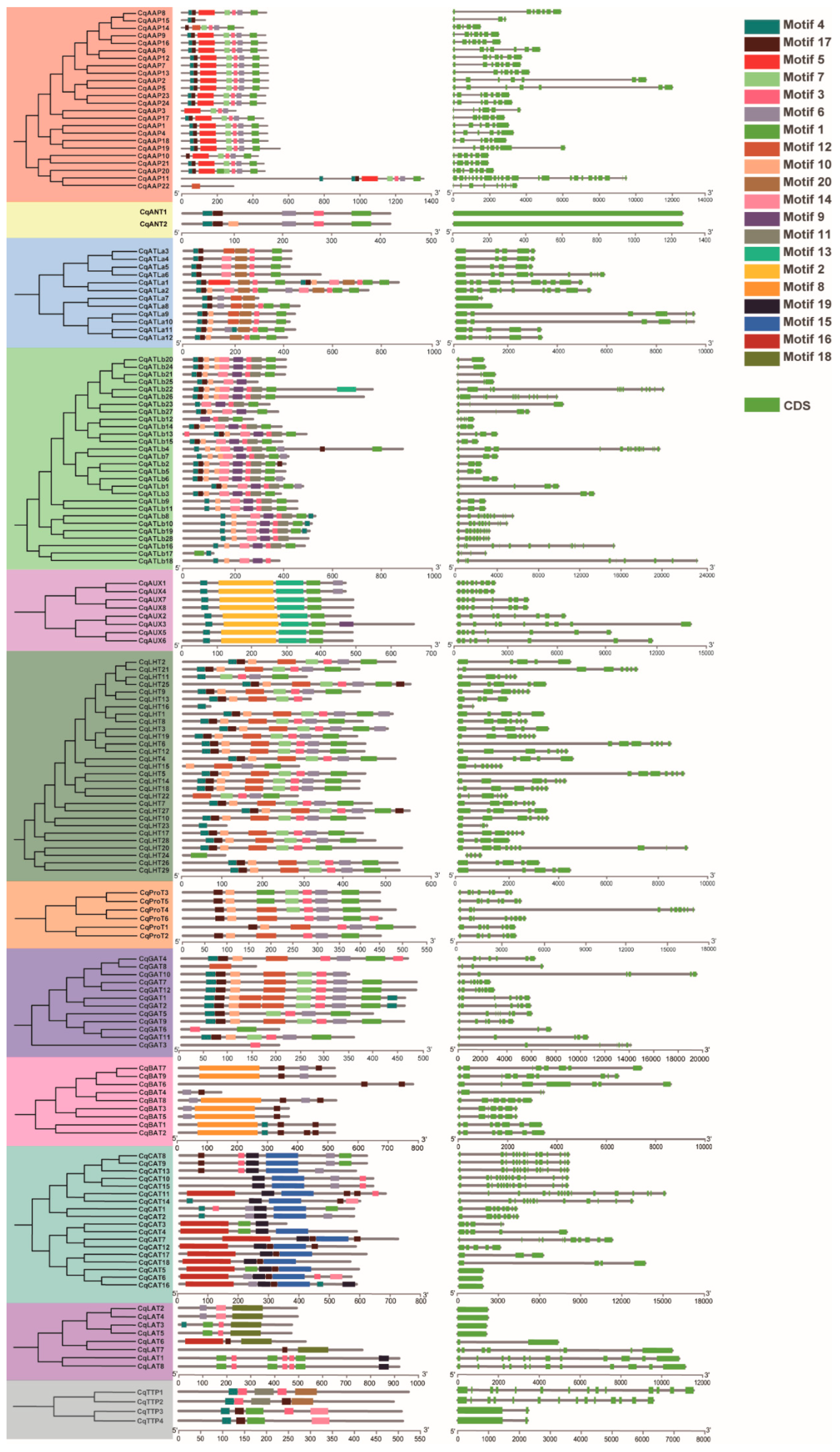 Agronomy 14 01648 g003