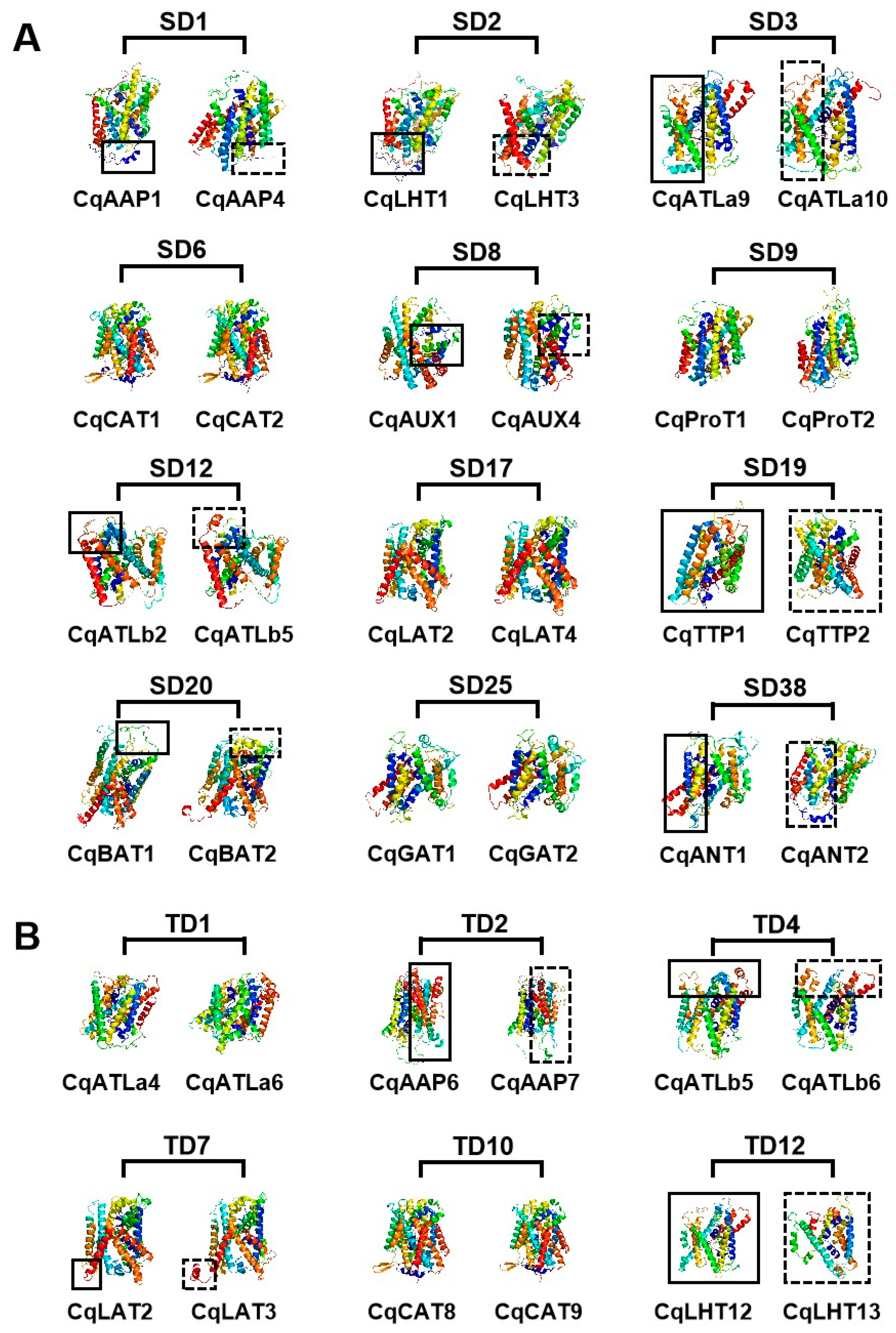 Agronomy 14 01648 g005