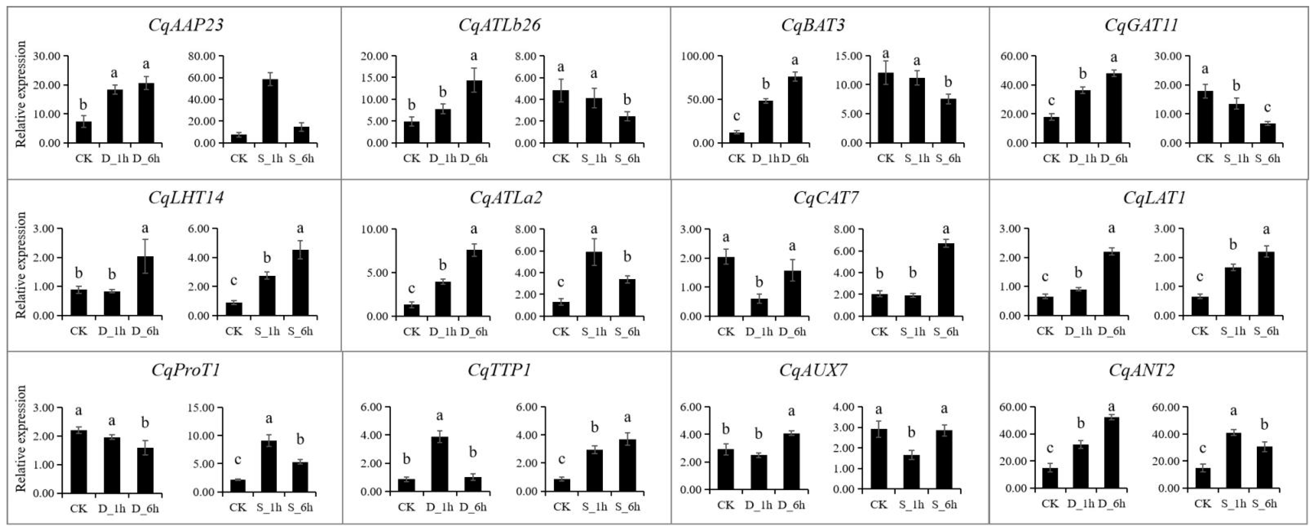 Agronomy 14 01648 g008