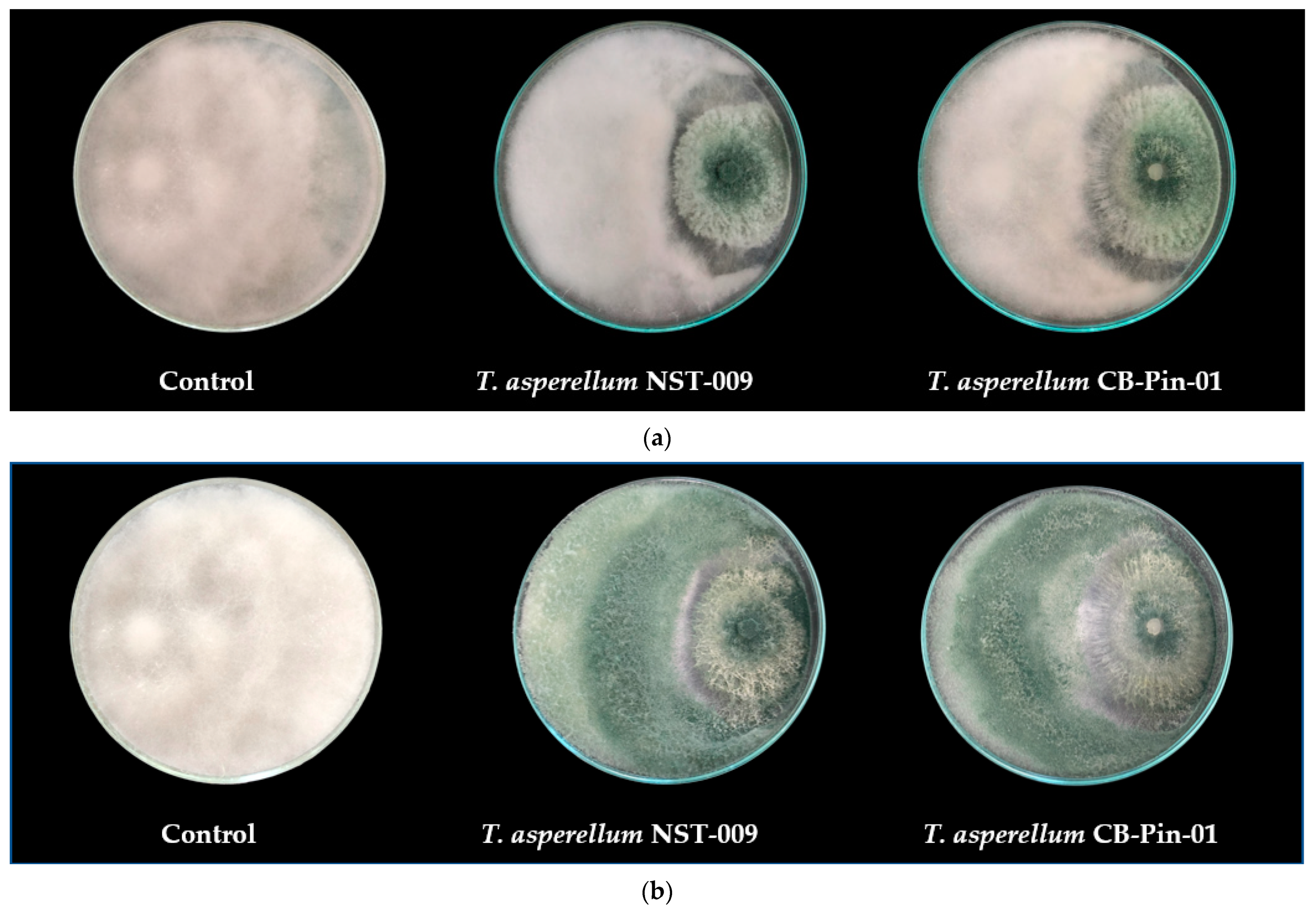Agronomy 14 01655 g004