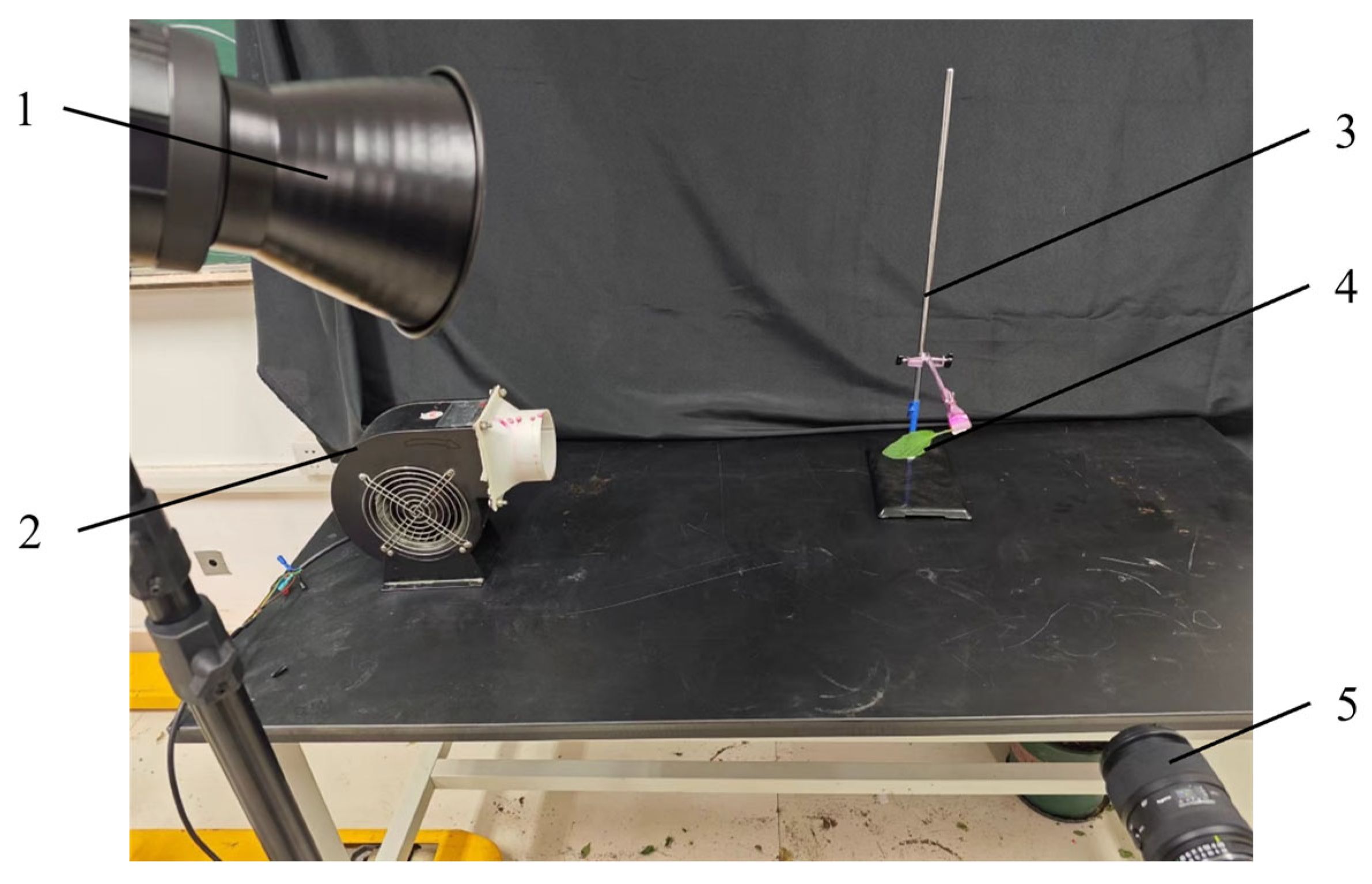 Agronomy 14 01661 g005