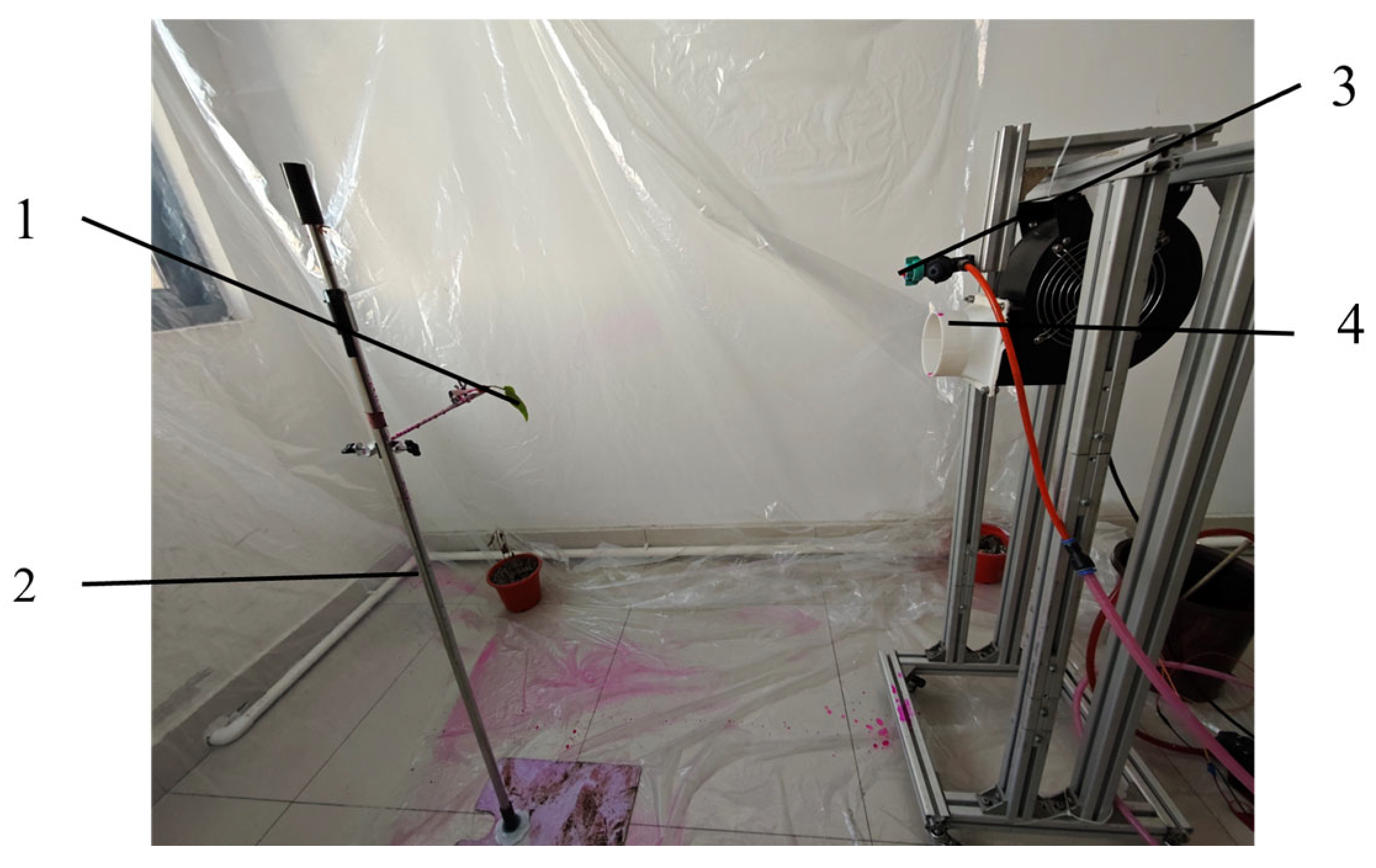 Agronomy 14 01661 g007