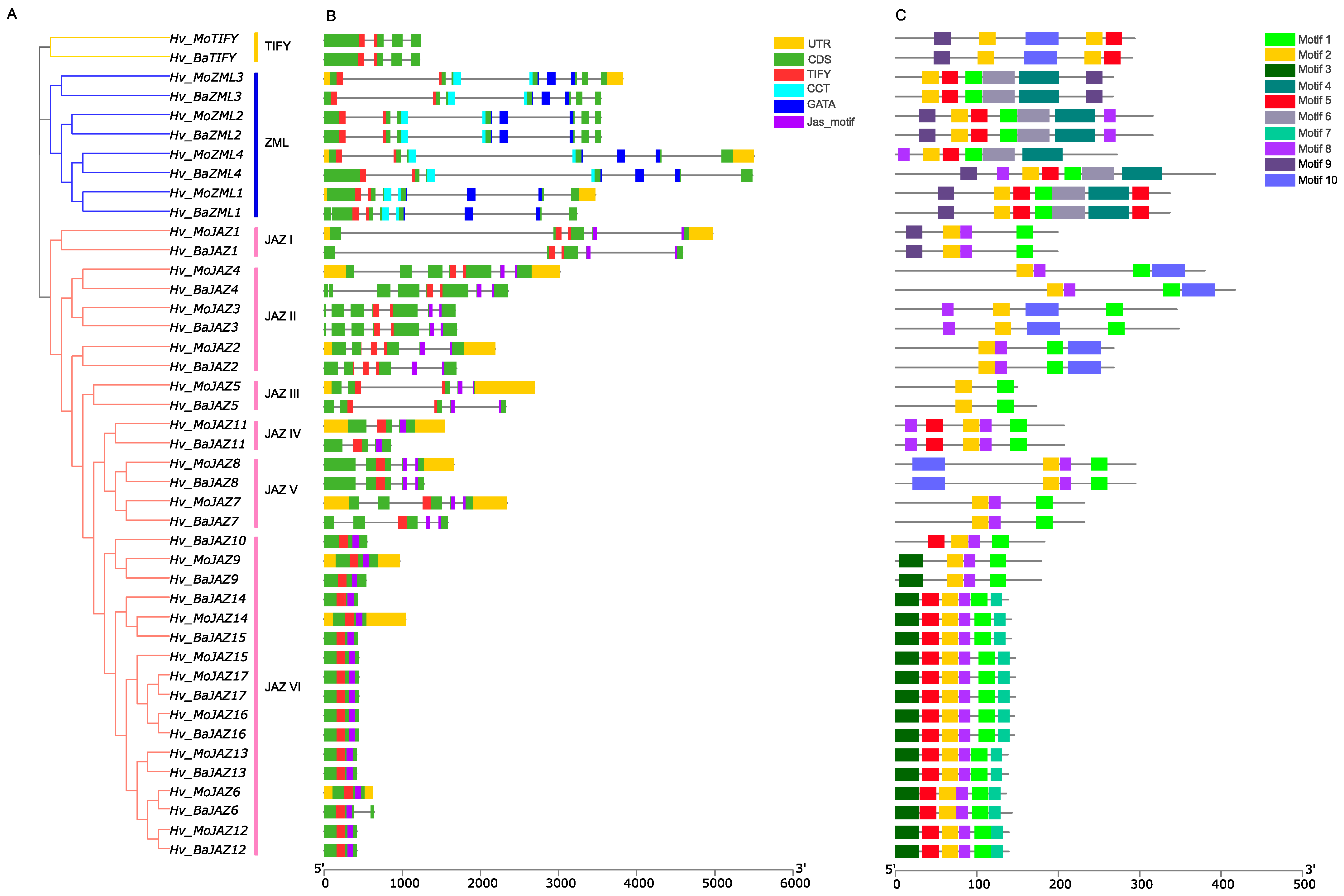 Agronomy 14 01663 g002