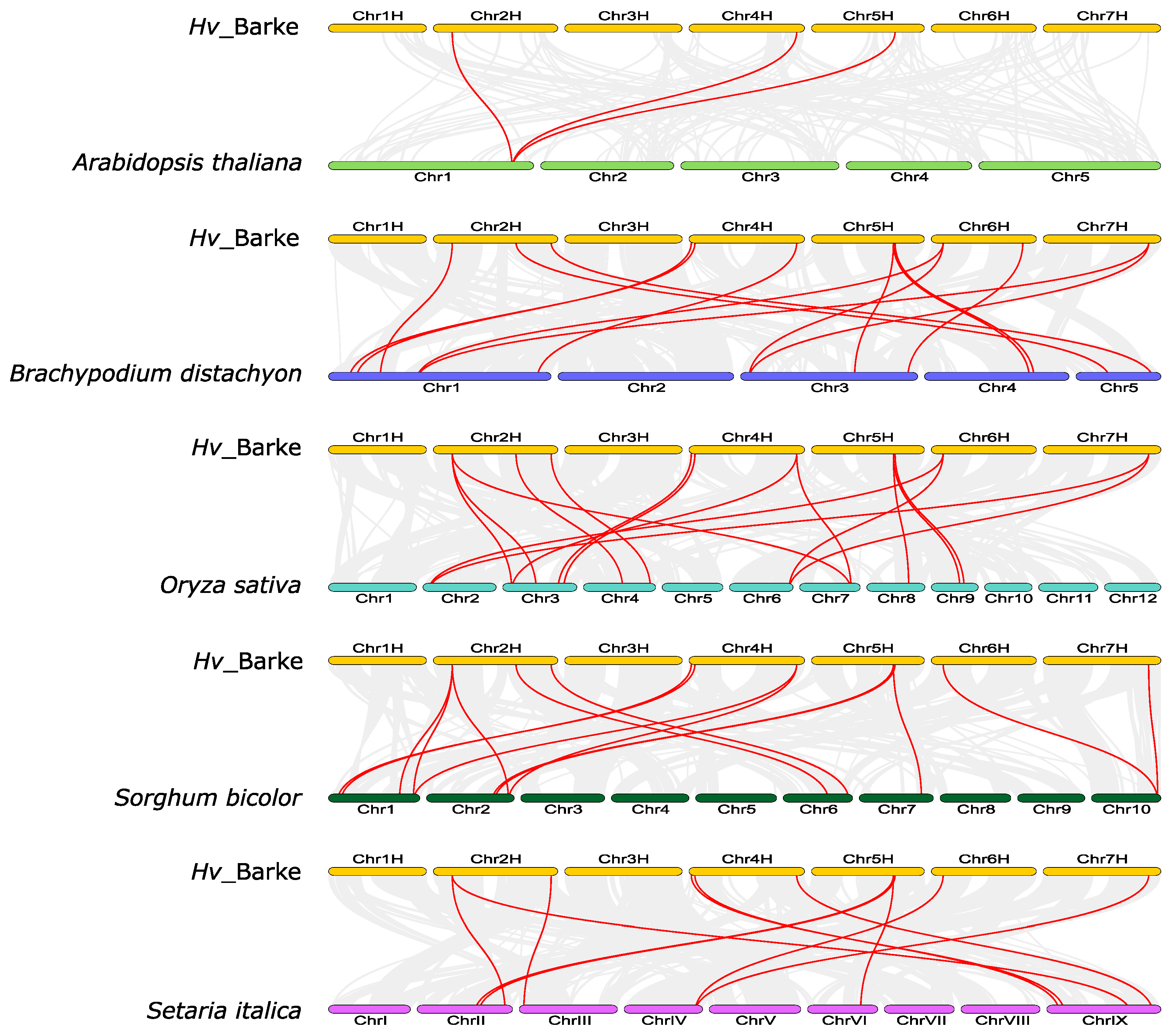 Agronomy 14 01663 g007