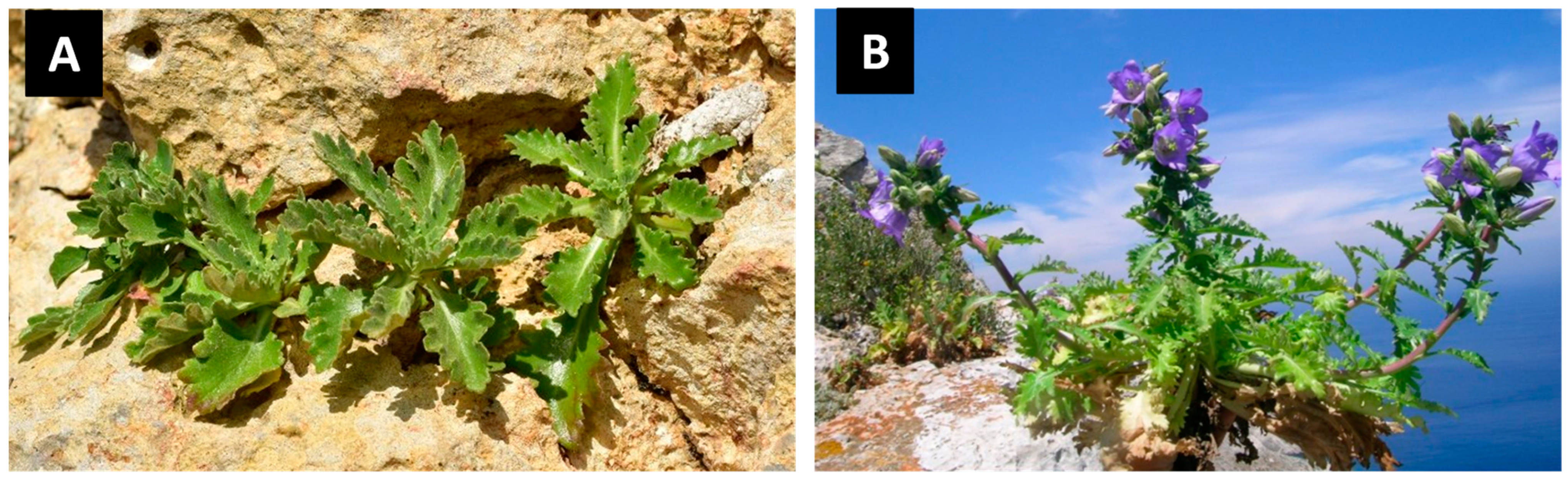 Agronomy 14 01665 g001