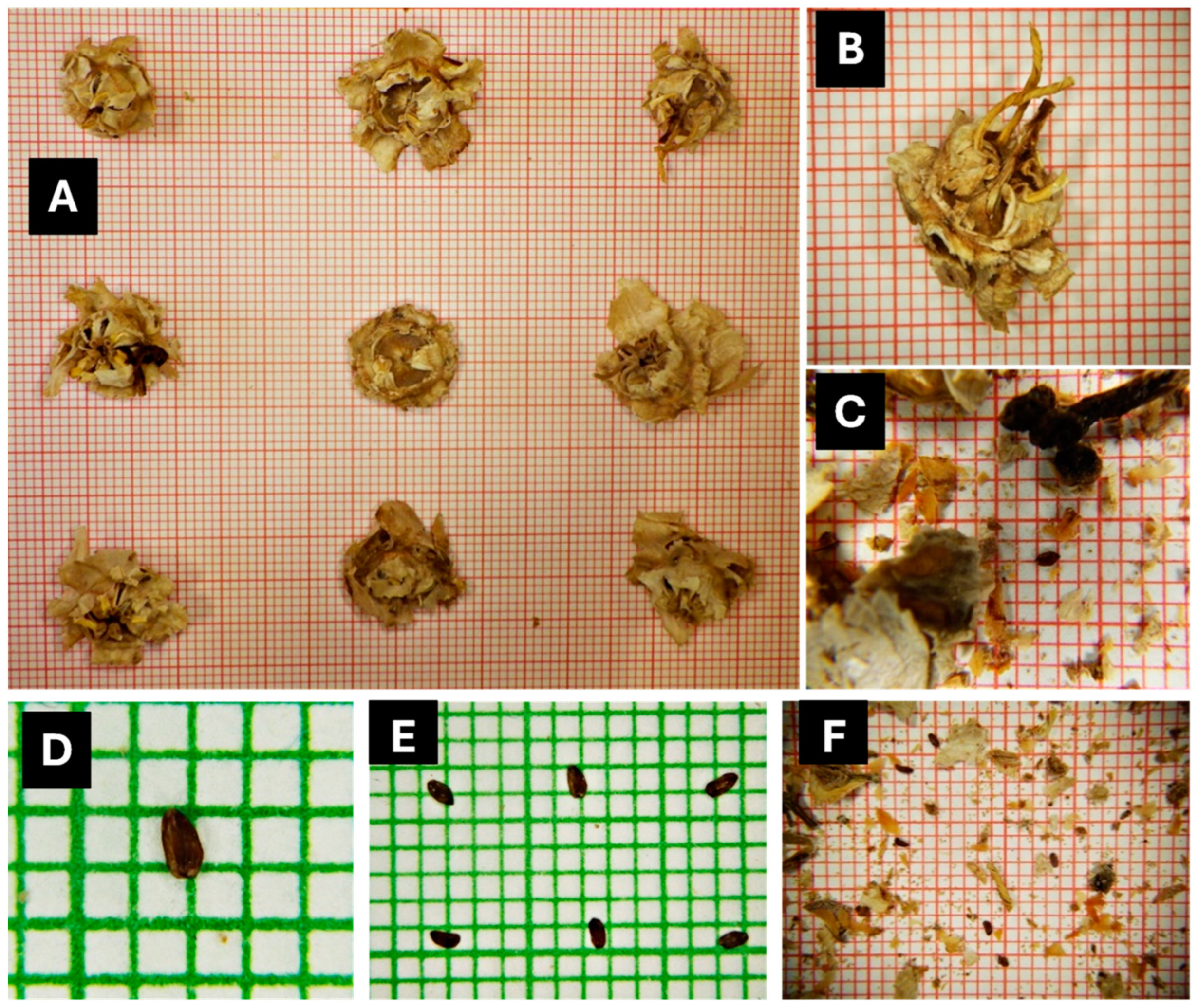 Agronomy 14 01665 g002