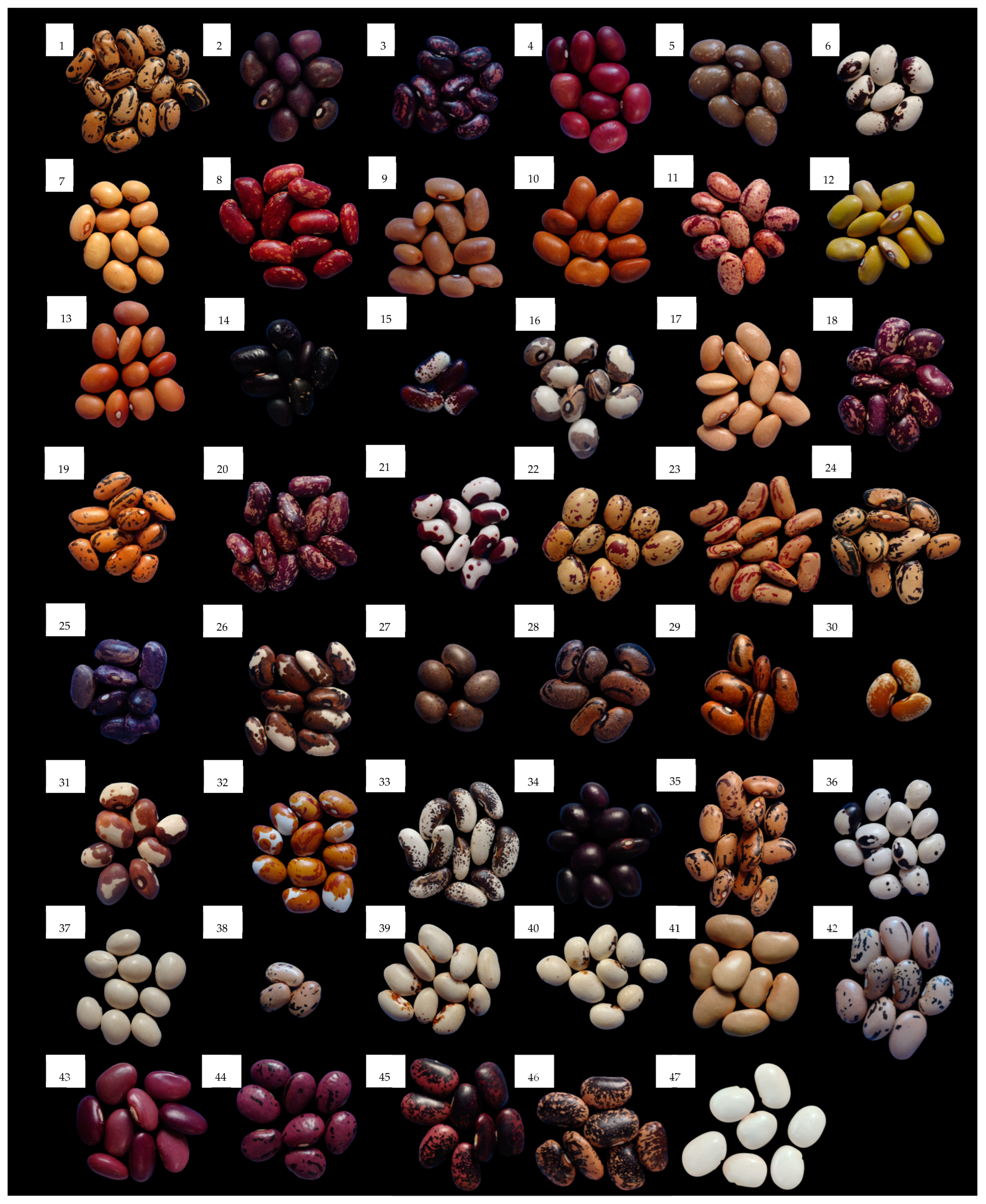 Agronomy 14 01666 g002 Agronomy 14 01666 g002