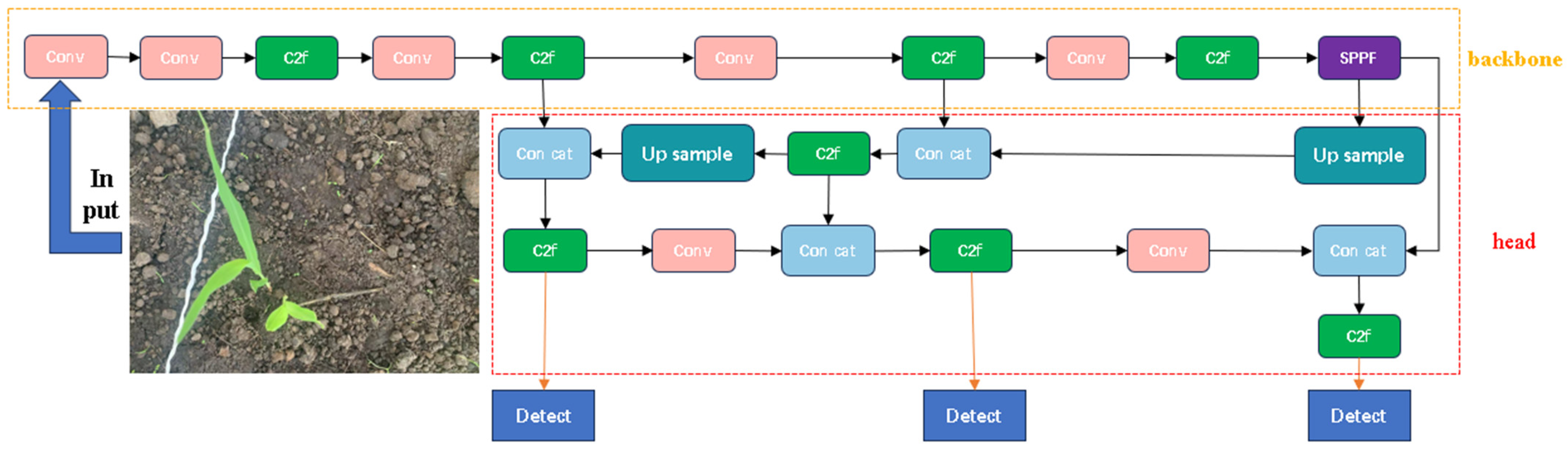 Agronomy 14 01667 g003
