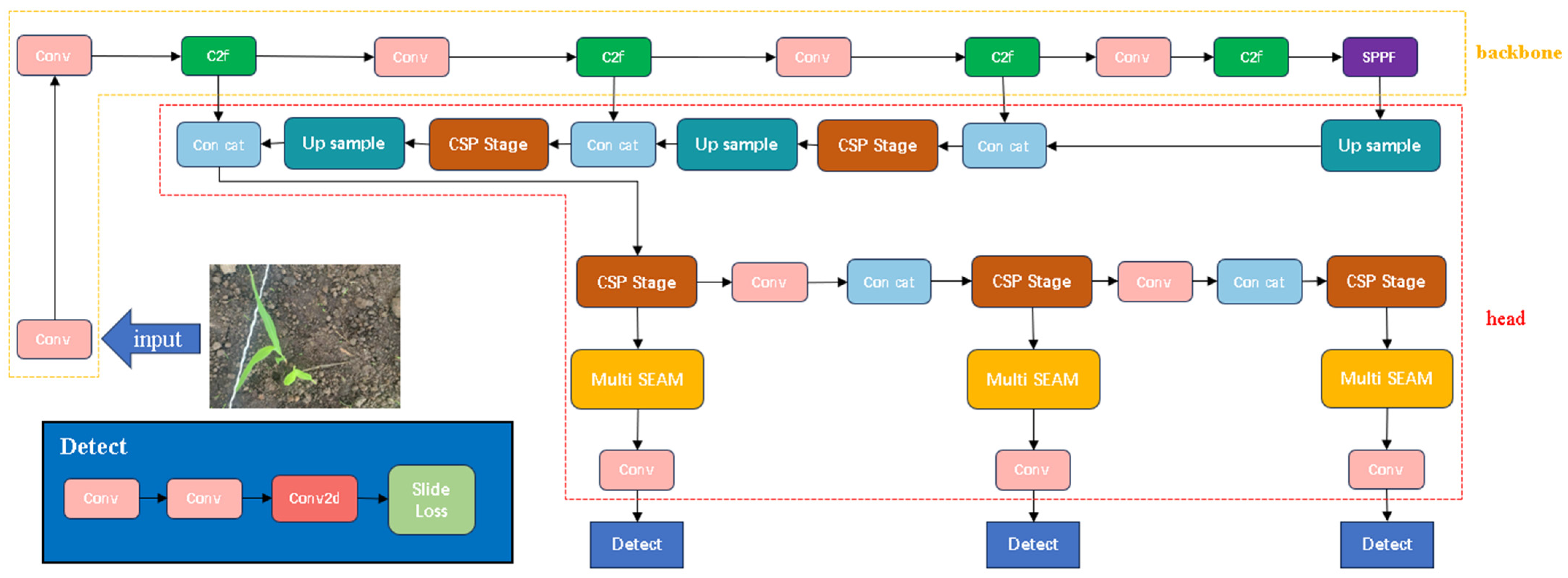 Agronomy 14 01667 g007