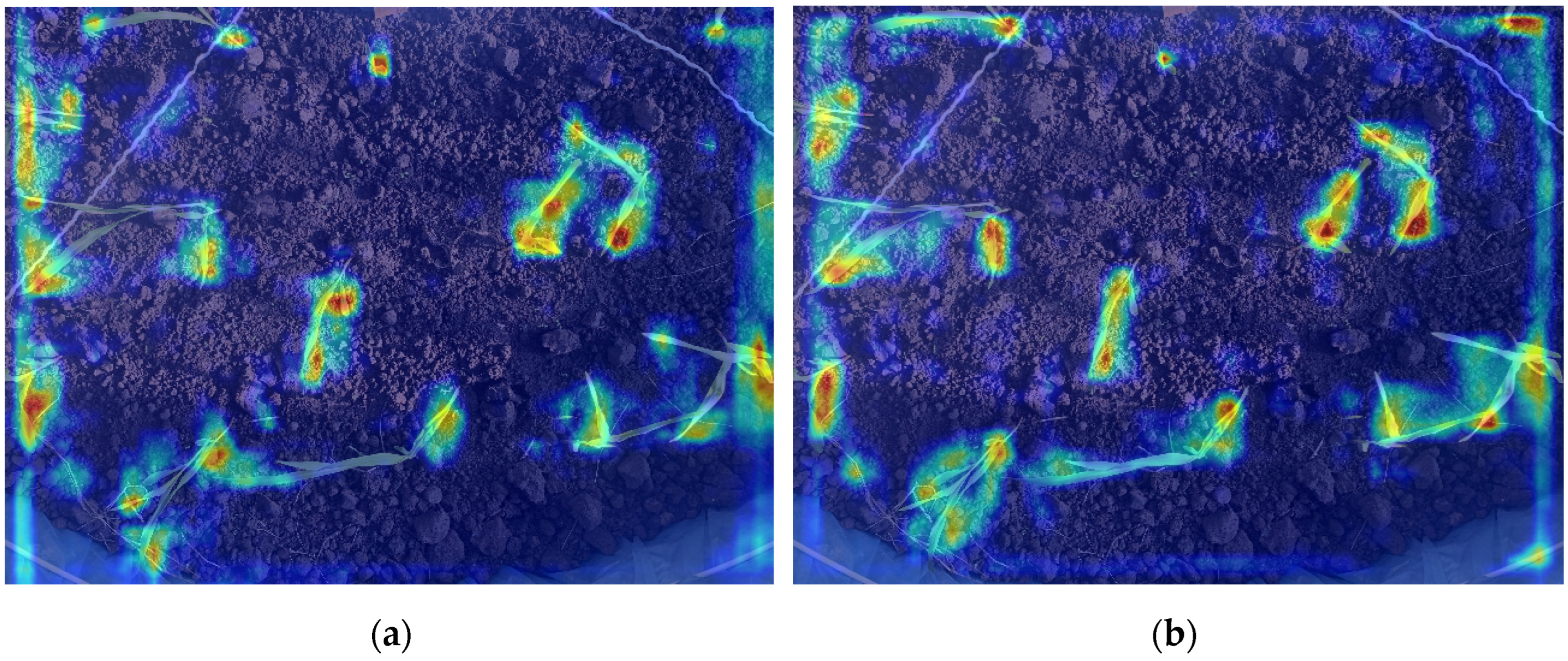 Agronomy 14 01667 g009