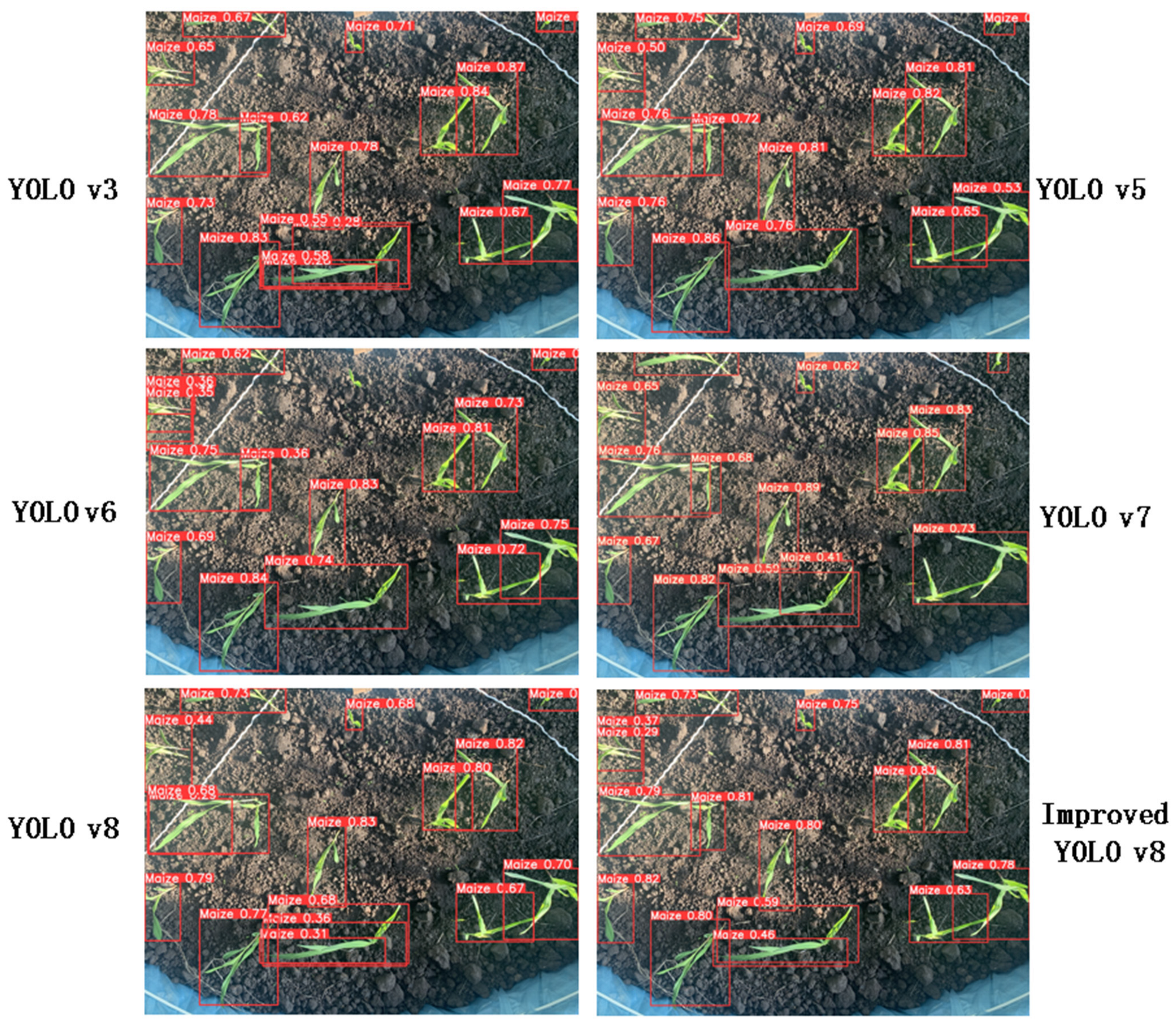 Agronomy 14 01667 g011