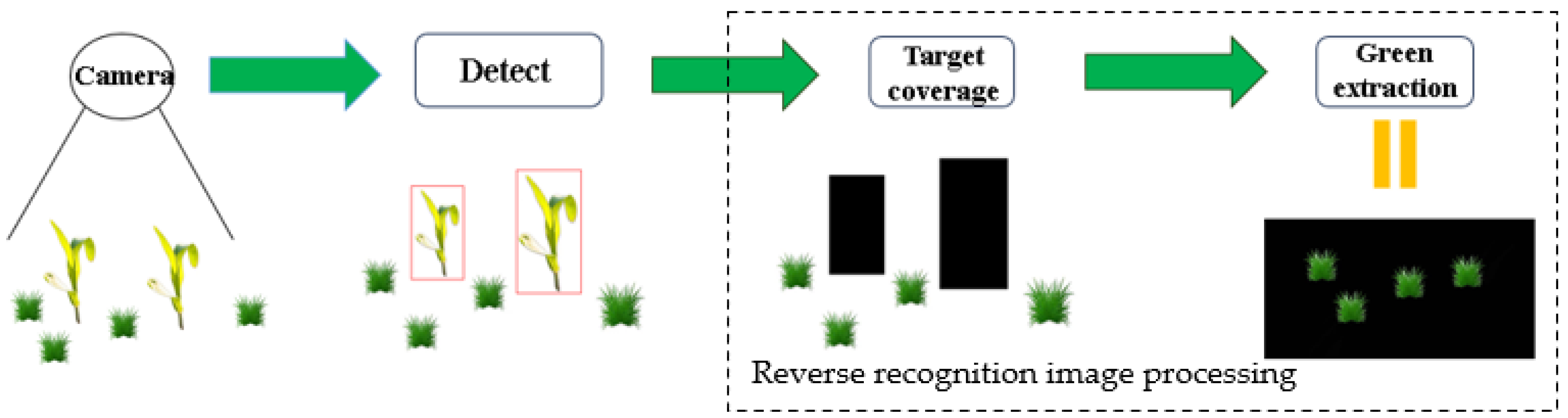 Agronomy 14 01667 g012
