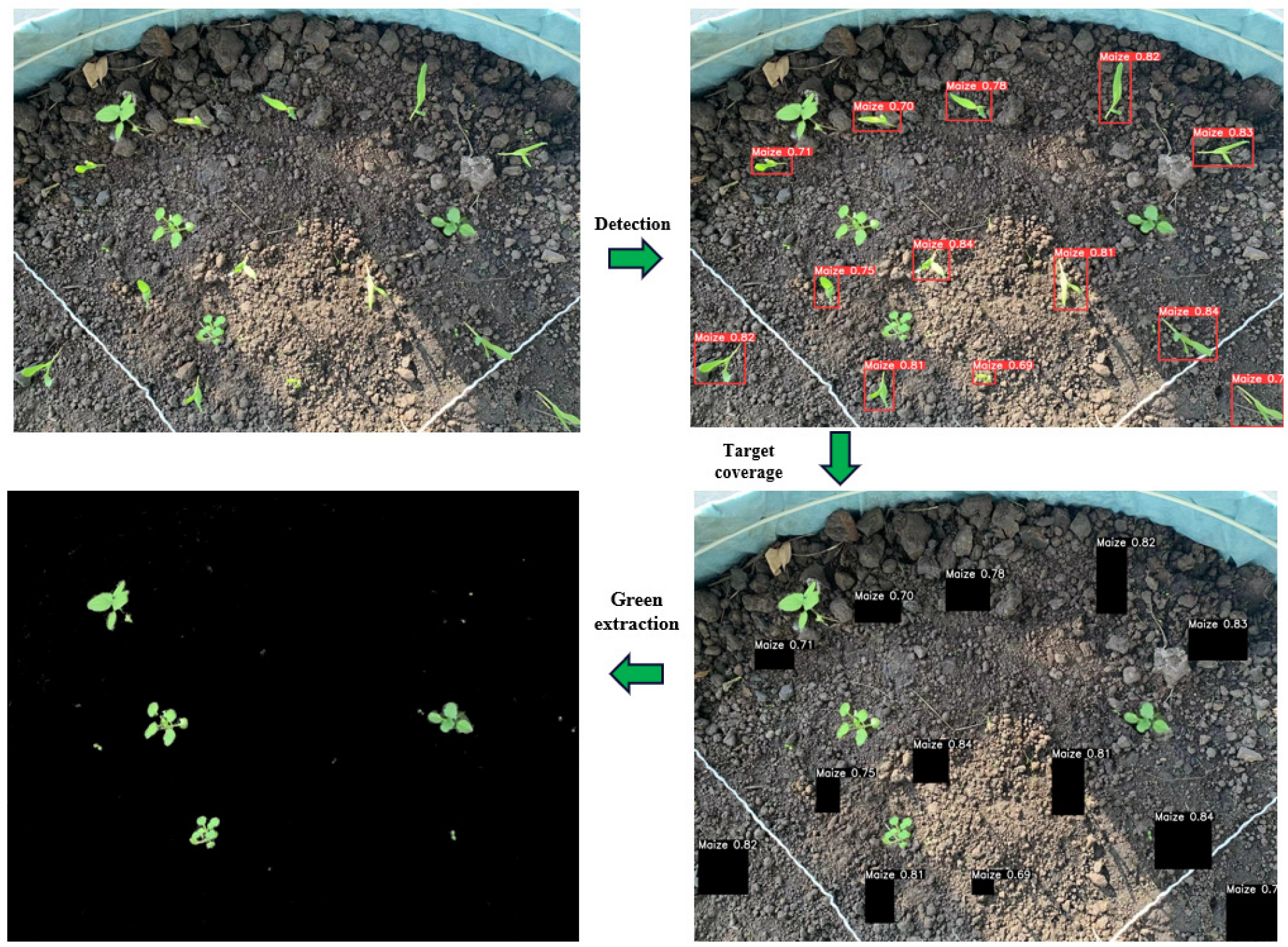 Agronomy 14 01667 g013